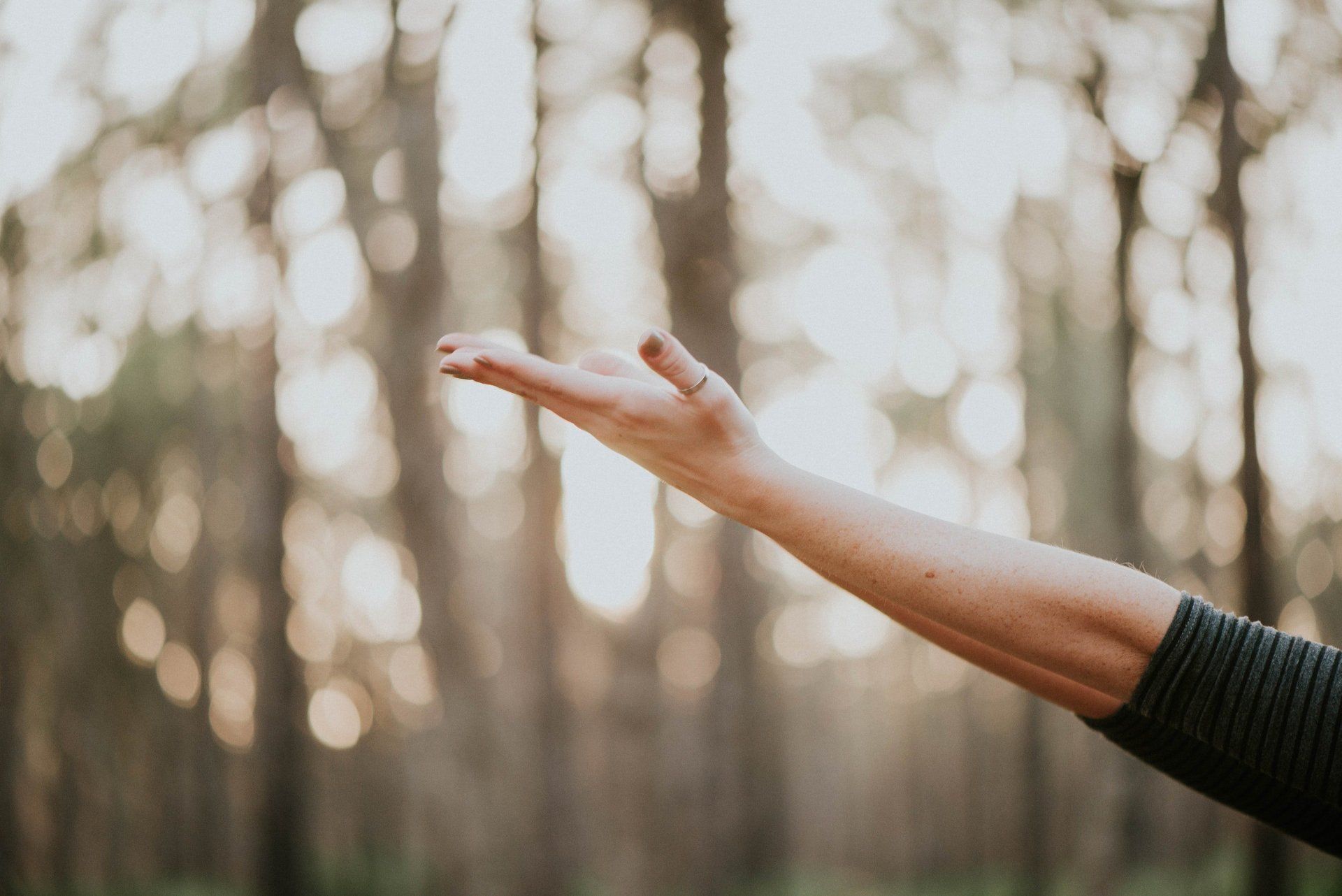 wellness, clinic, edina, minneapolis, eden prairie, sauna, therapy, holistic 