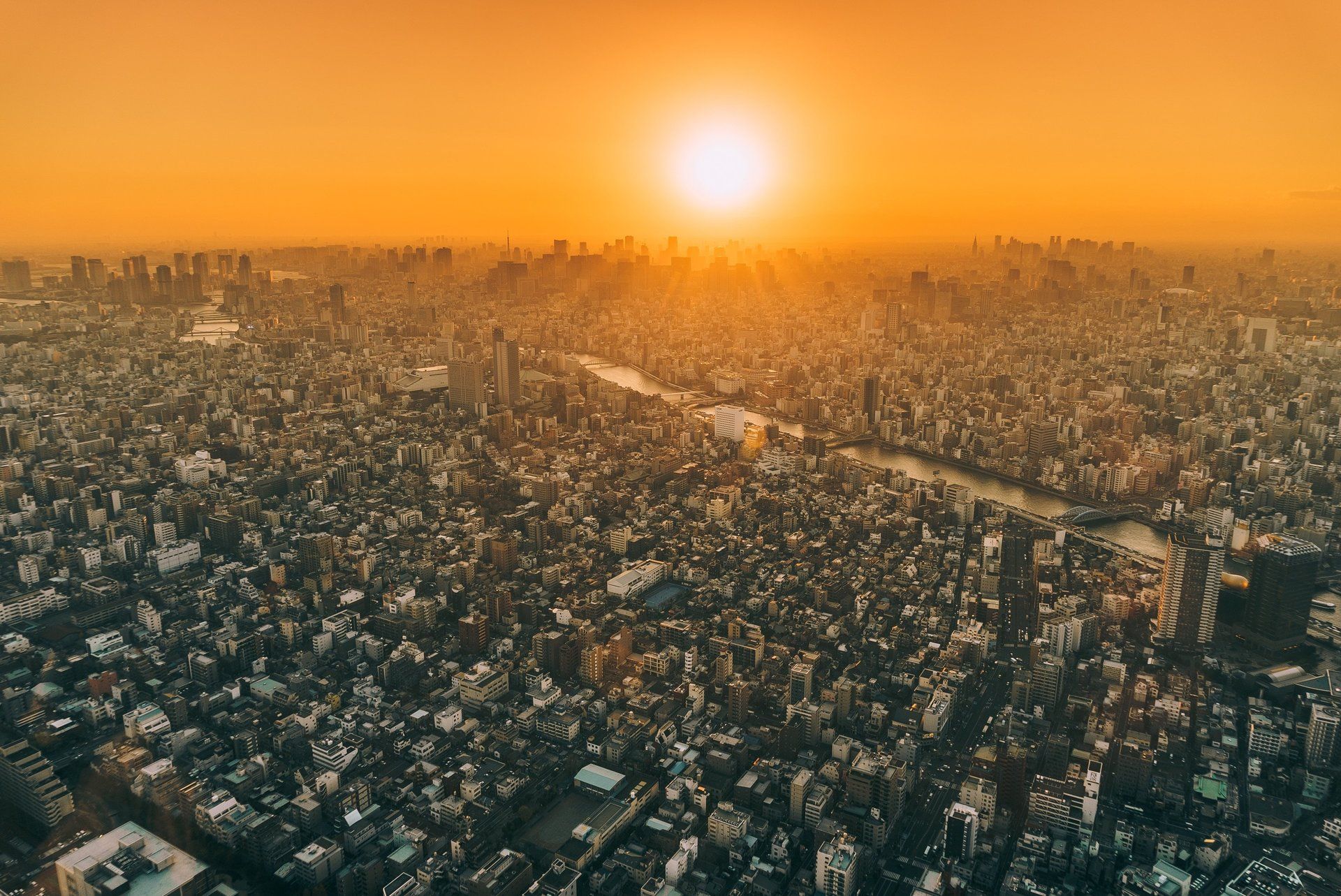 An aerial view of a large city at sunset.