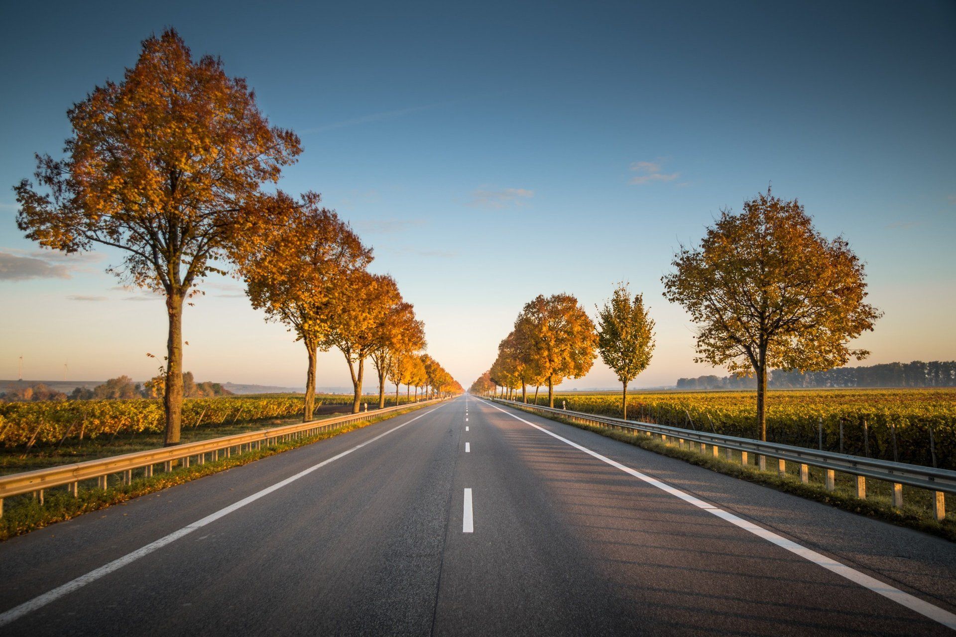 The TriSys Road