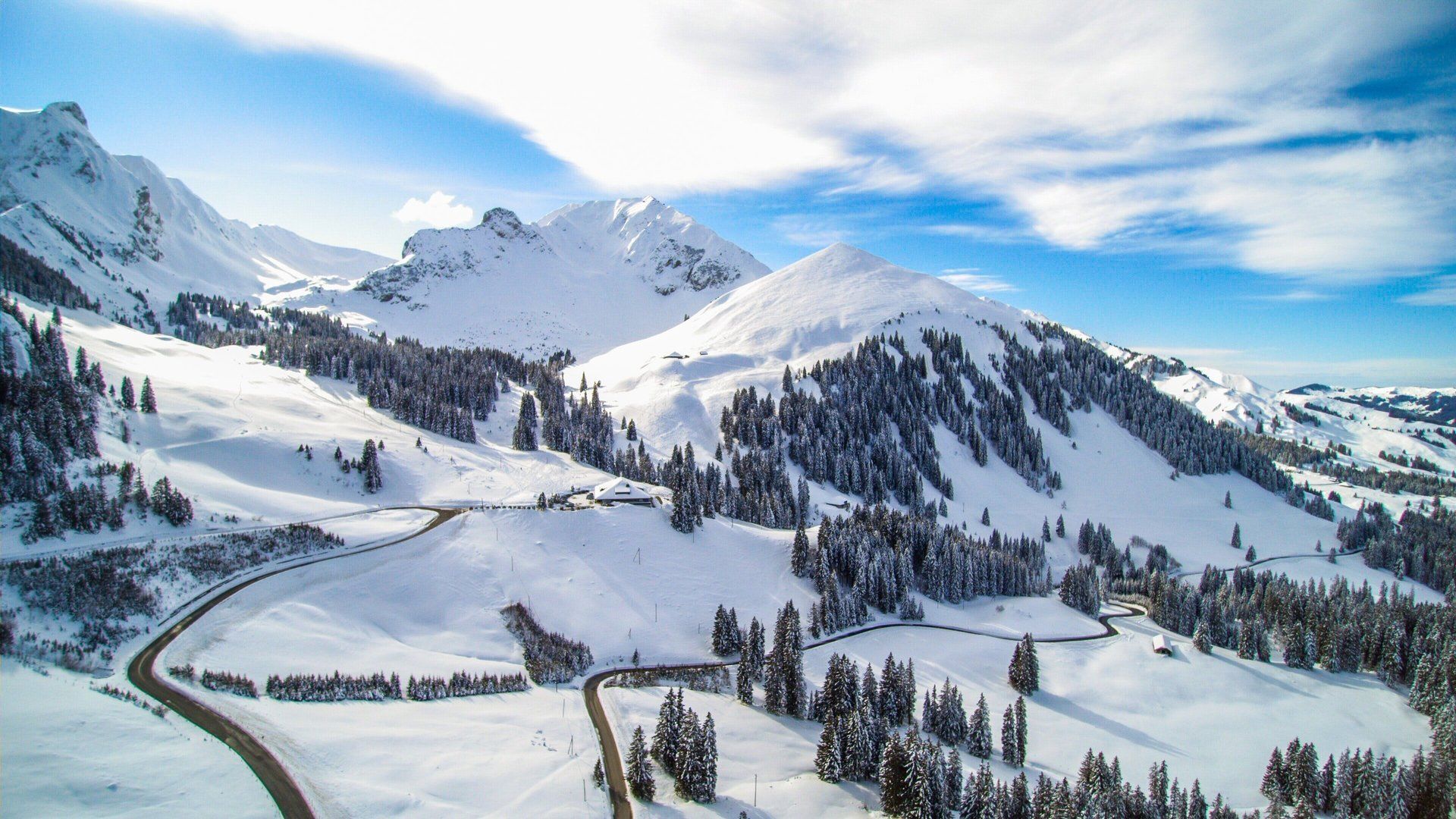 Verschneite Berglandschaft mit Kiefern und einer kurvenreichen Straße unter blauem Himmel