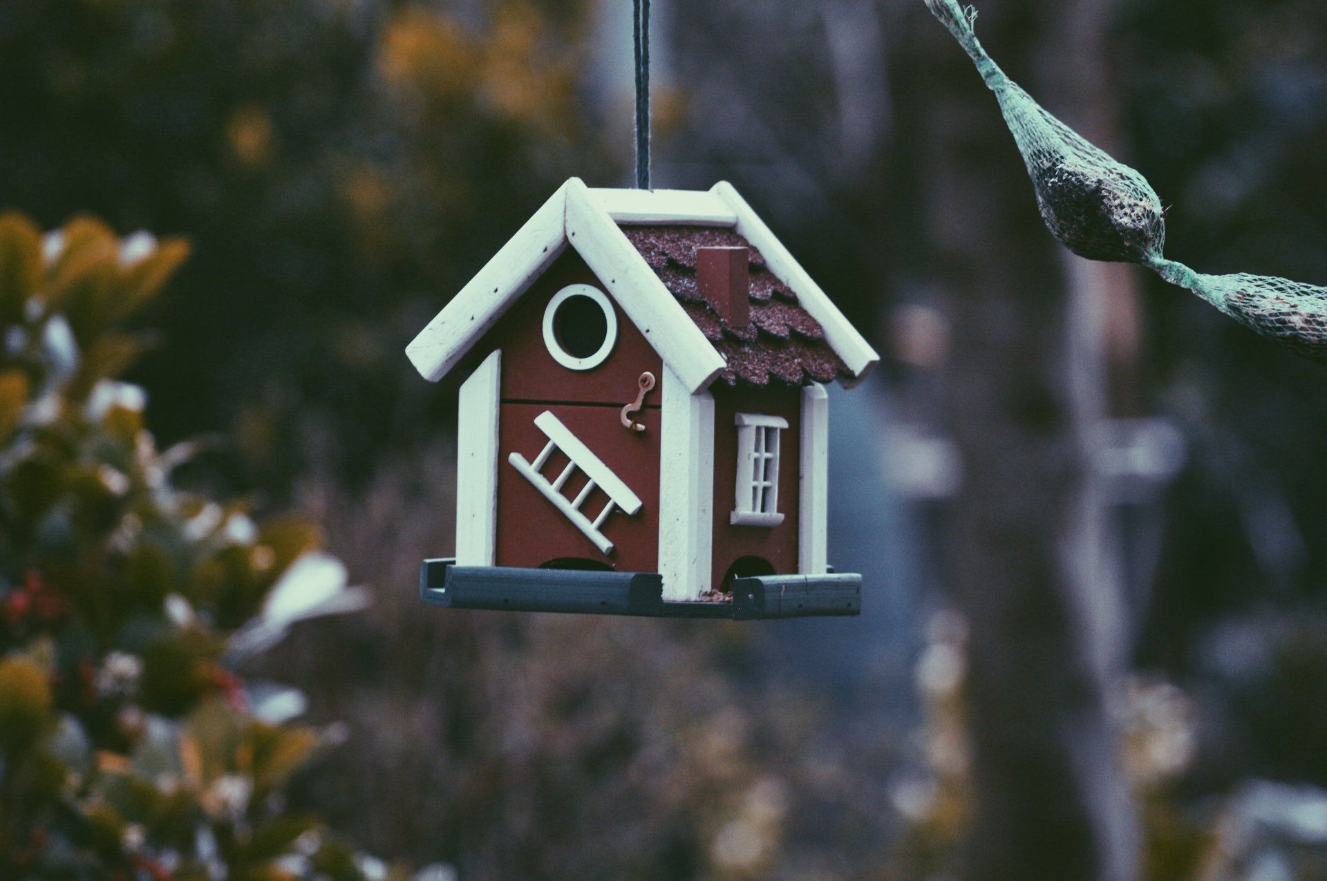 A red and white birdhouse is hanging from a tree branch.