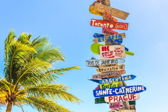 A stack of wooden signs pointing in different directions with a palm tree in the background.