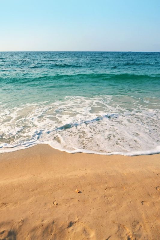 mare