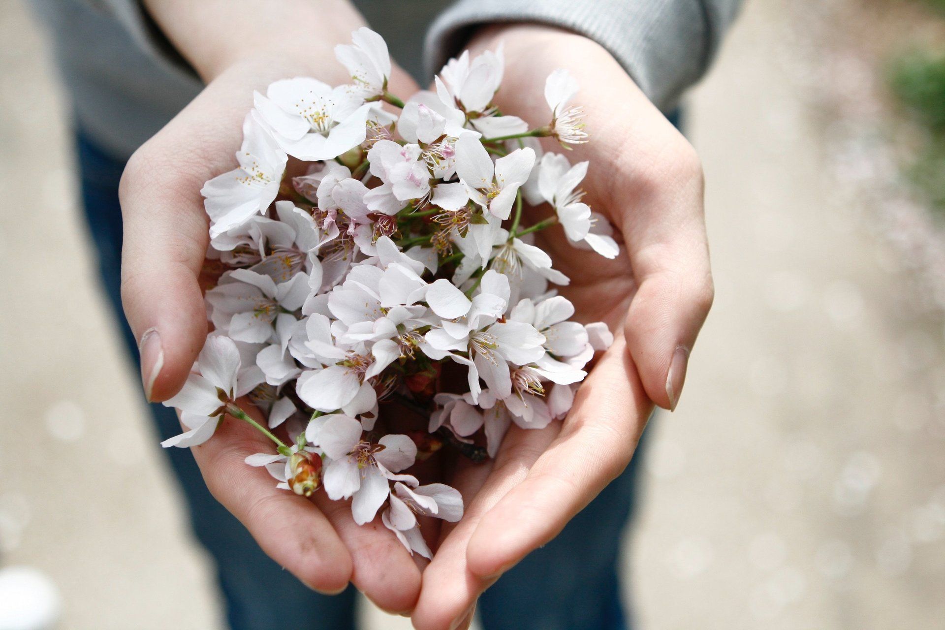 naturopath, naturopathic, natural, wellness, holistic, edina