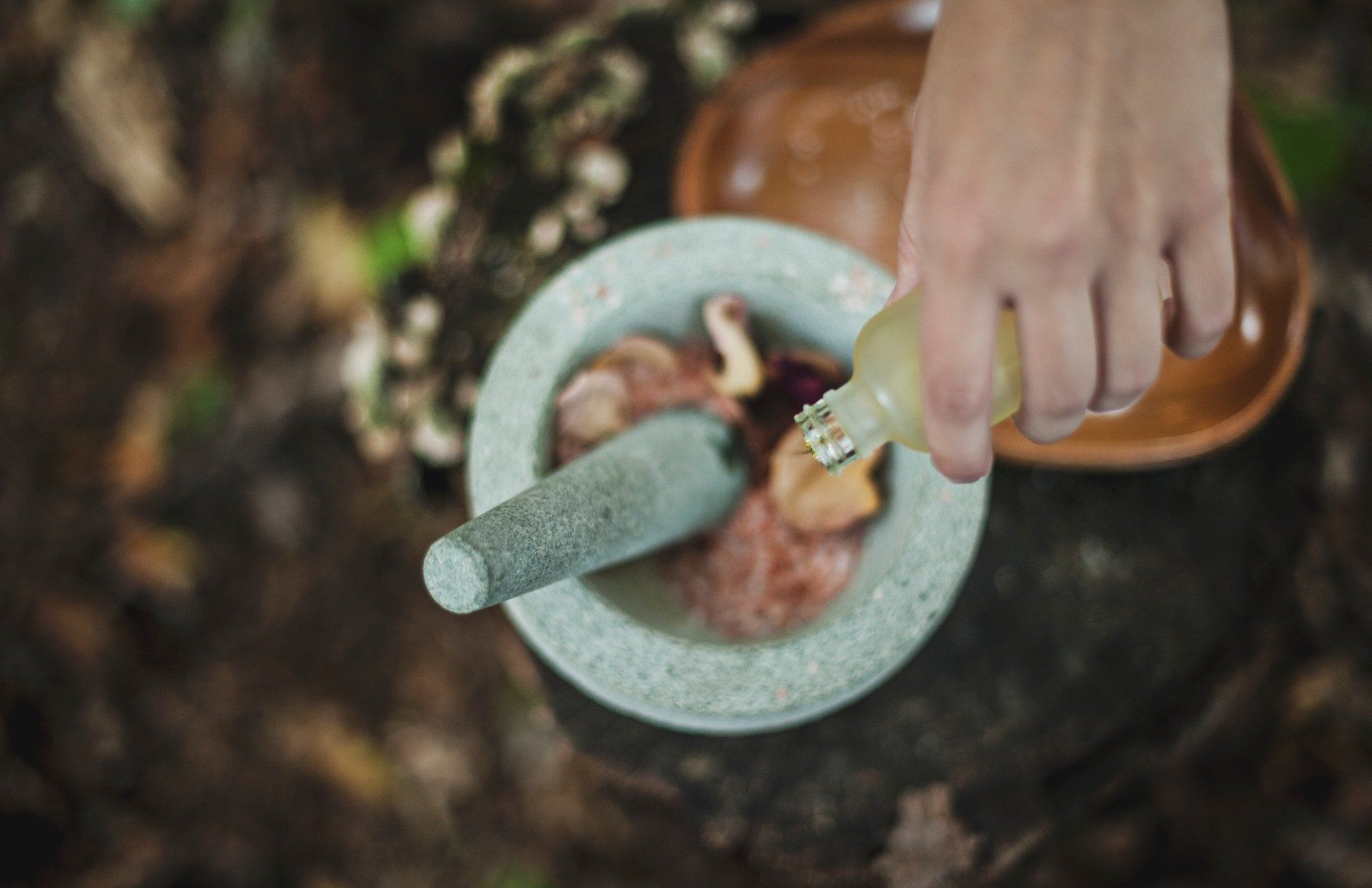 Wheel of Life Readings