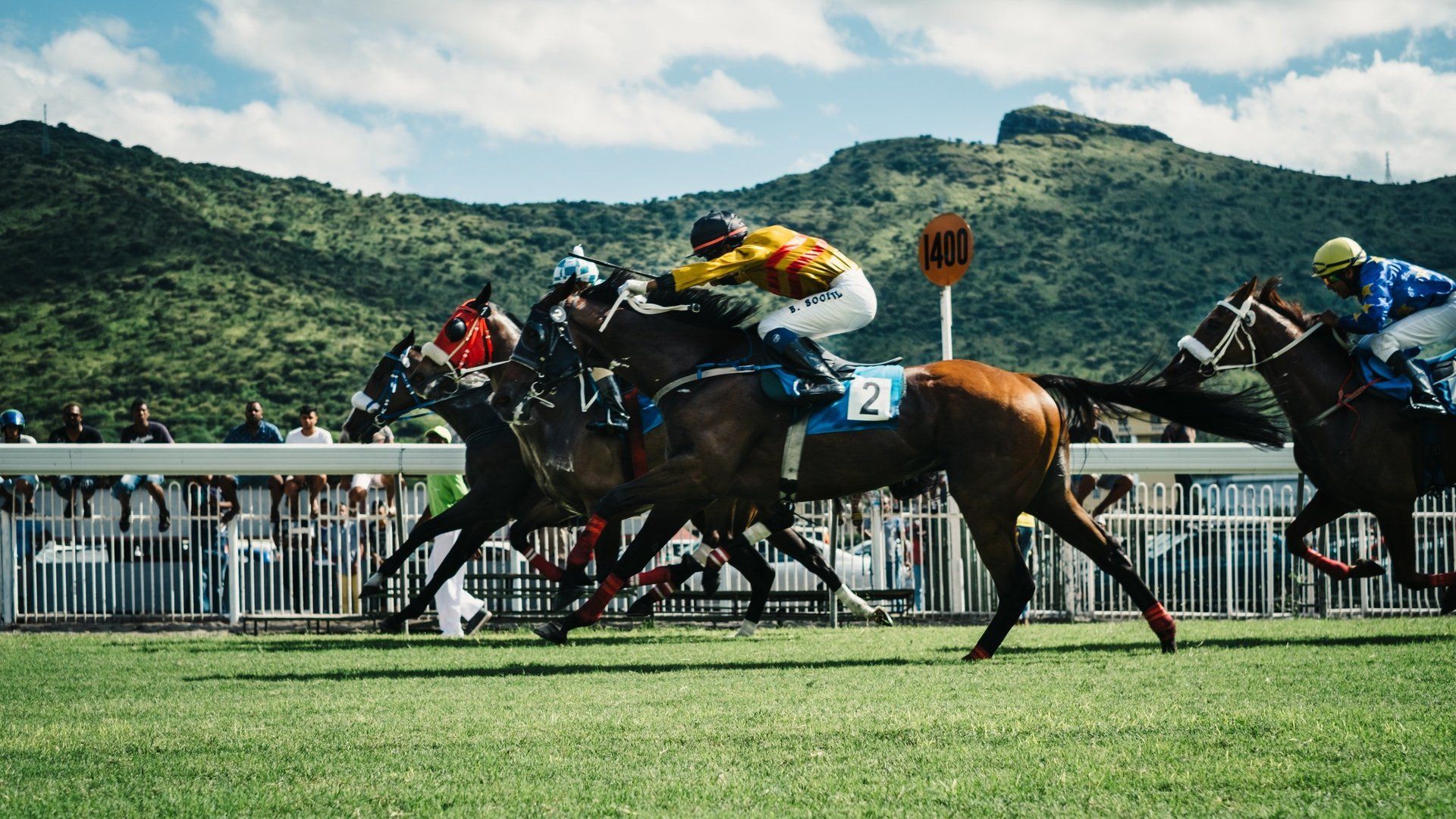 Well kept racecourses use Prograss Bio products