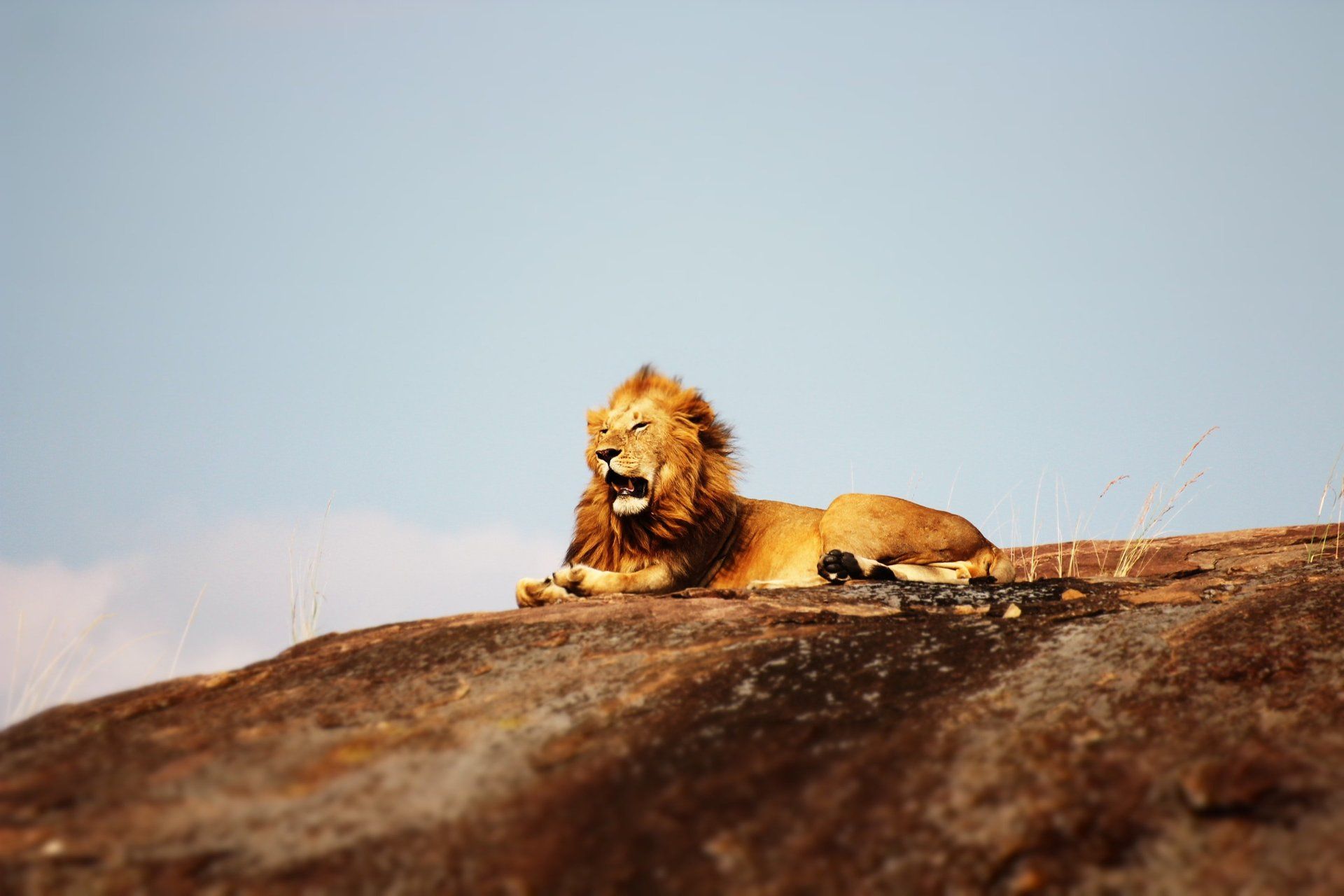 Walking Safari in Tanzania