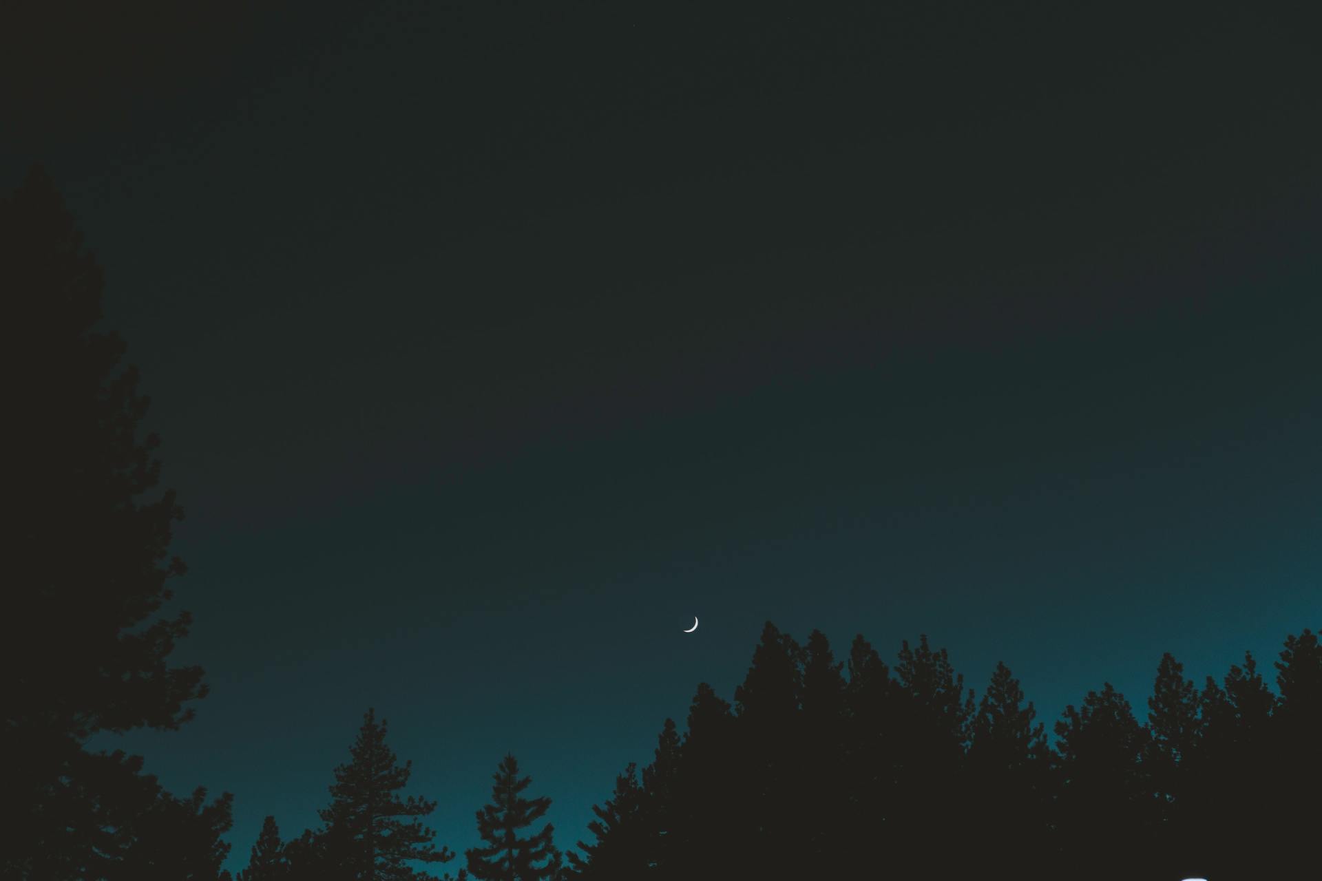 The Art Of Pausing - My Experience. Michael Kroth. Profound LIving