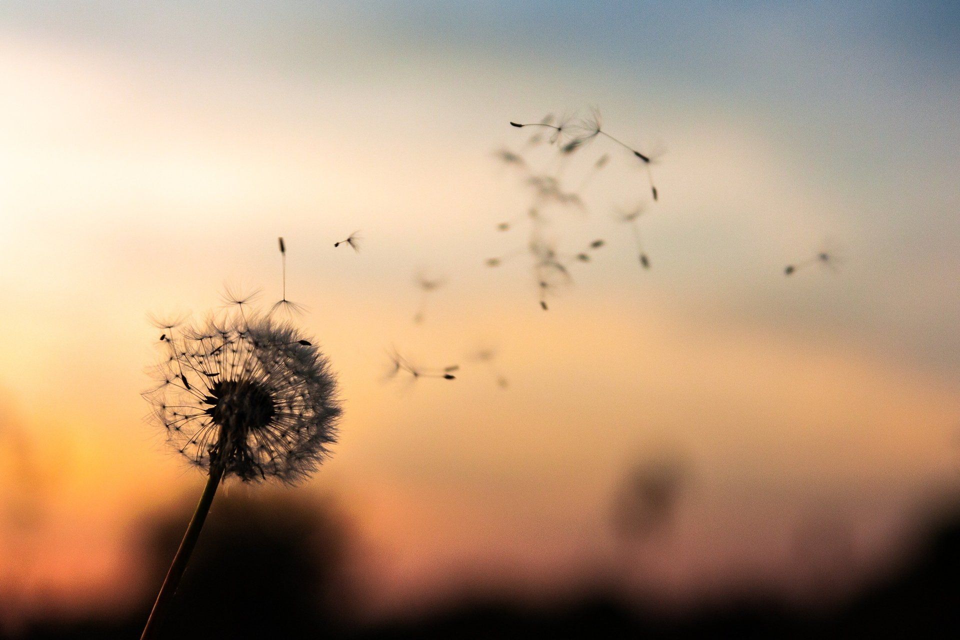 Counselling Enquiry - Change your Direction