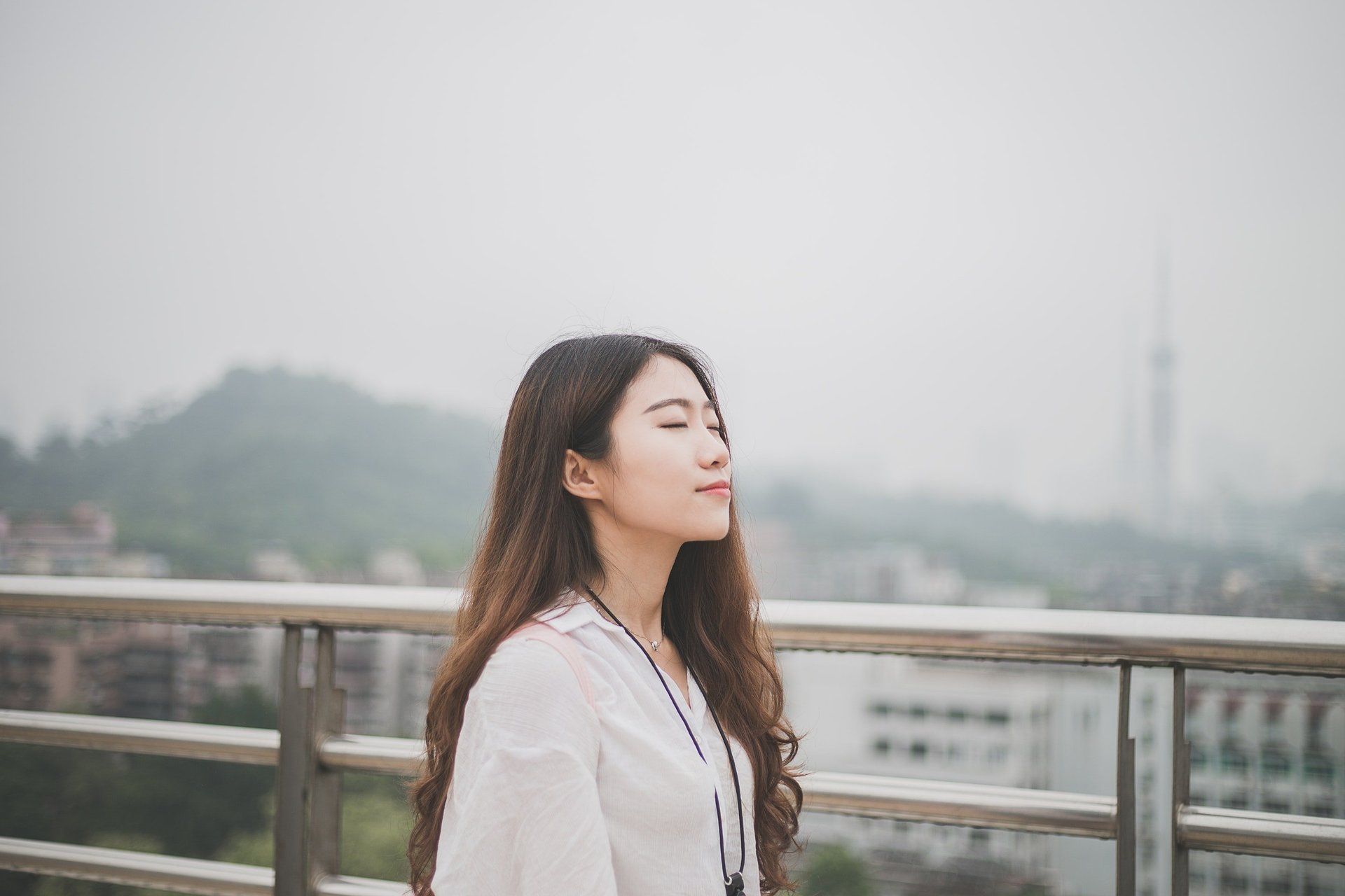 The Mindful Fundraiser