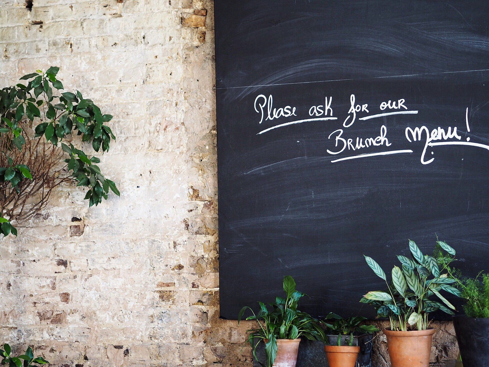 Brick wall with a chalkboard sign that says, “Please ask for our Brunch menu!” Green plants in pots sit below.