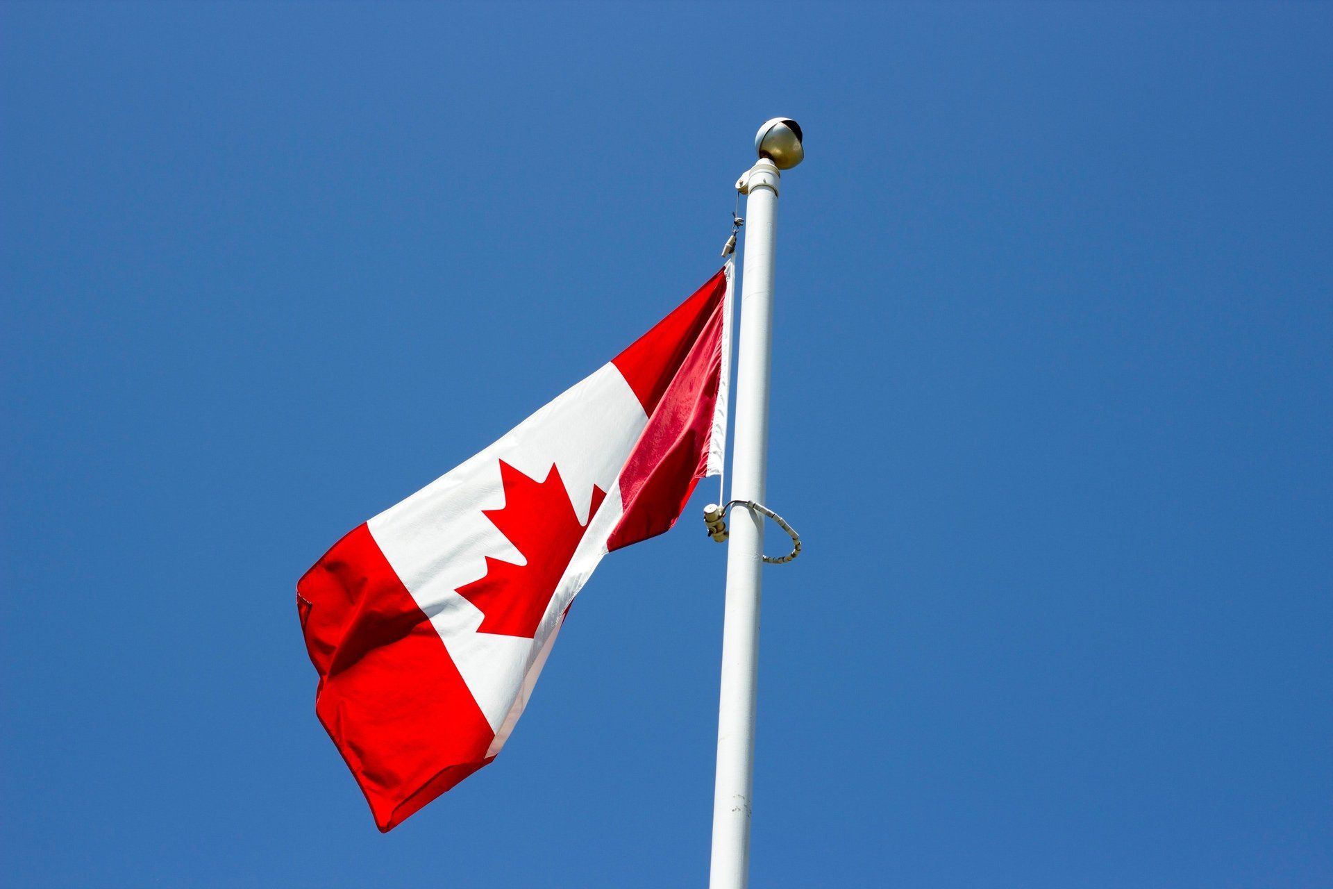 A canadian flag is waving in the wind against a blue sky