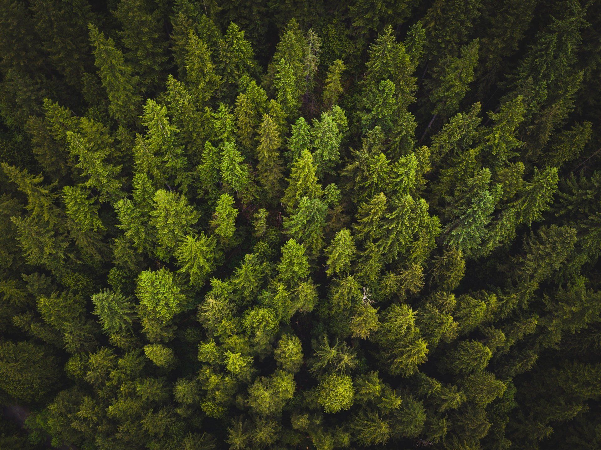 2019 SGASA Symposium