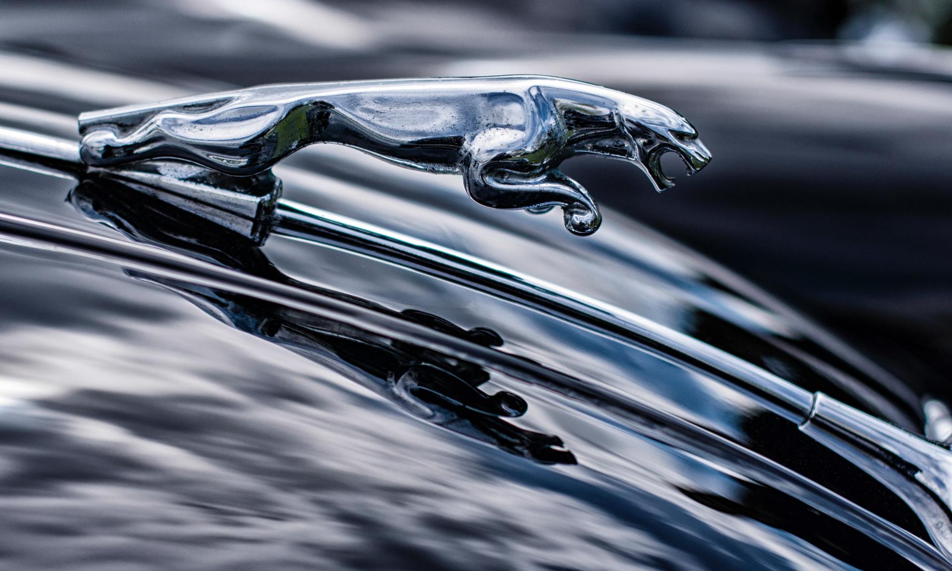 Jaguar Transmission shop Dallas