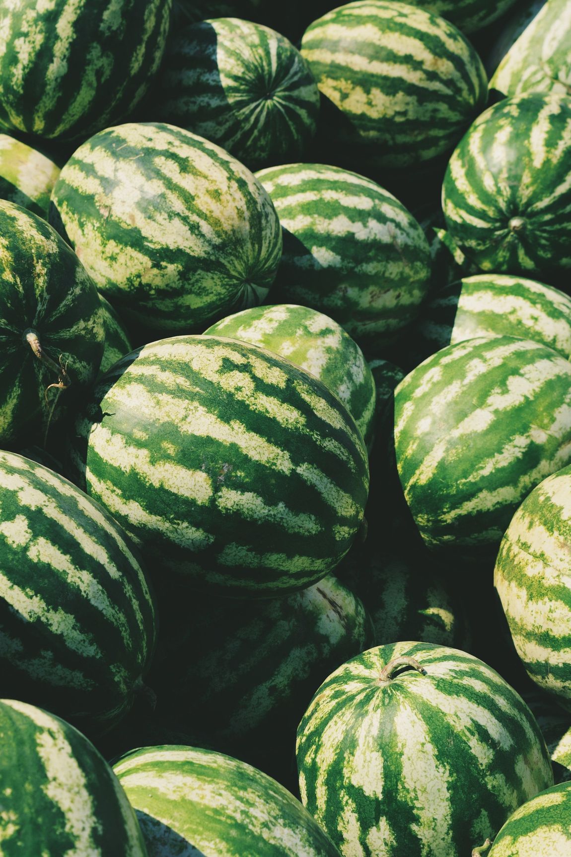 Un mucchio di angurie a strisce verdi che riempiono l'inquadratura
