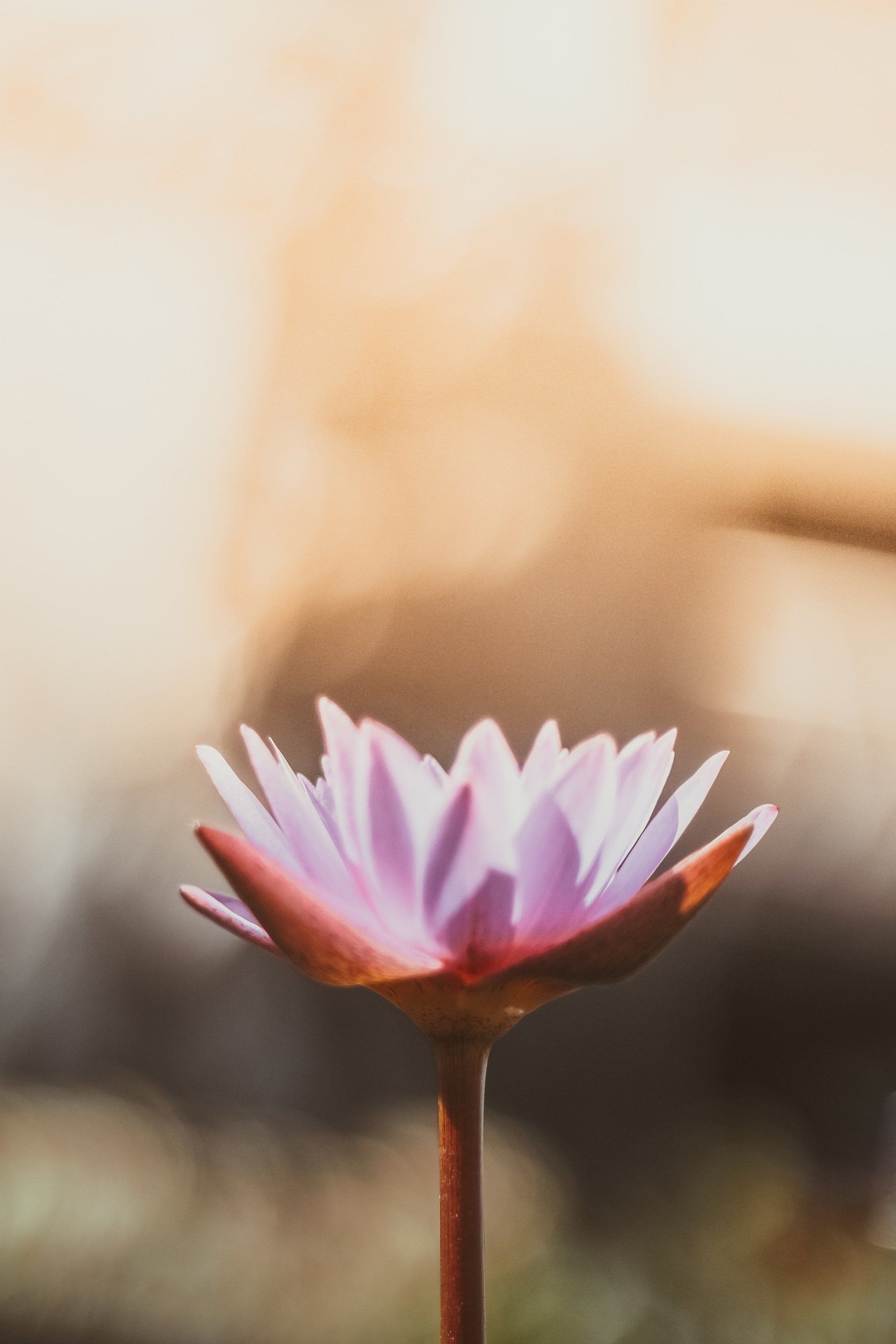 Yoga Calgary