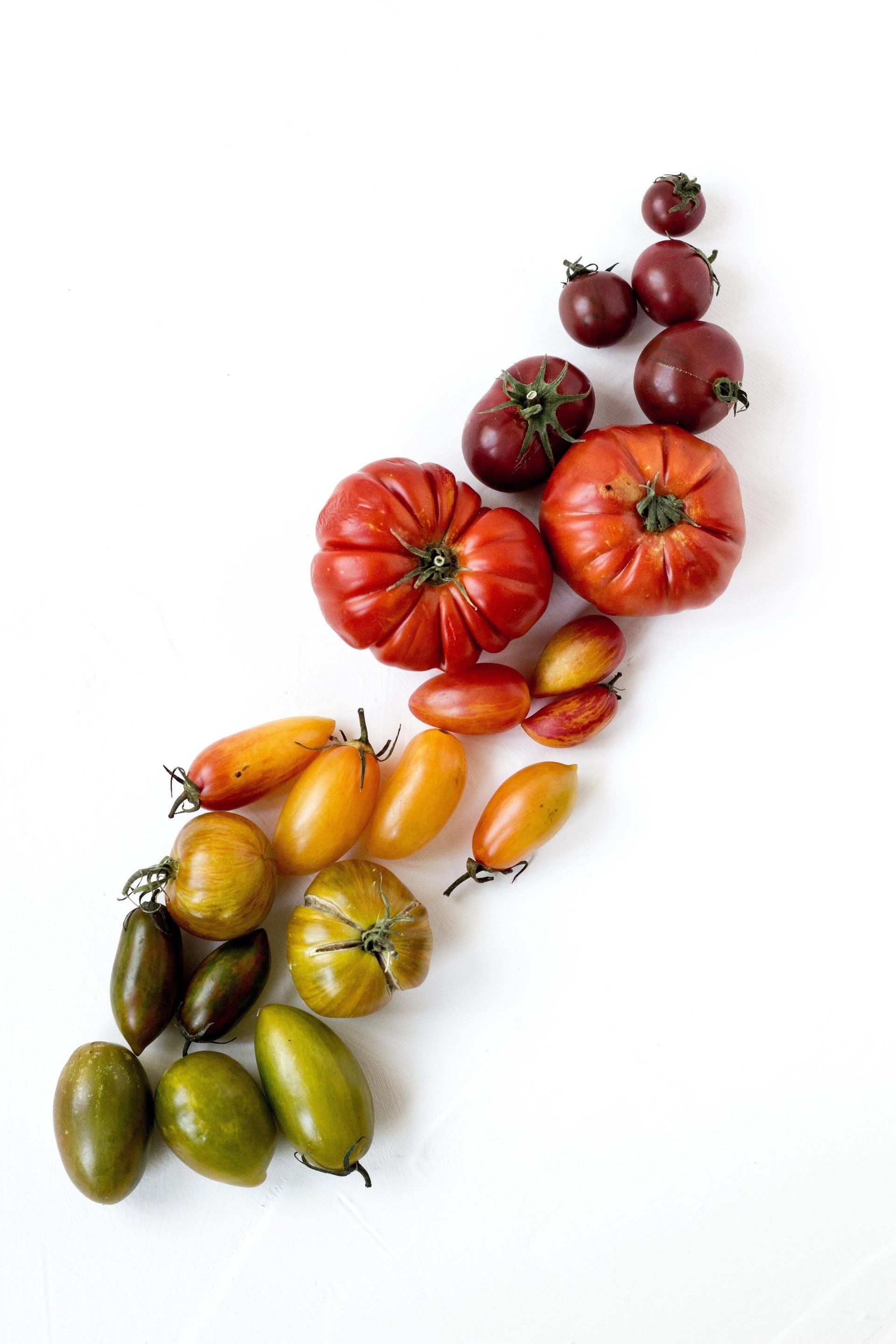 A bunch of different types of tomatoes on a white surface.