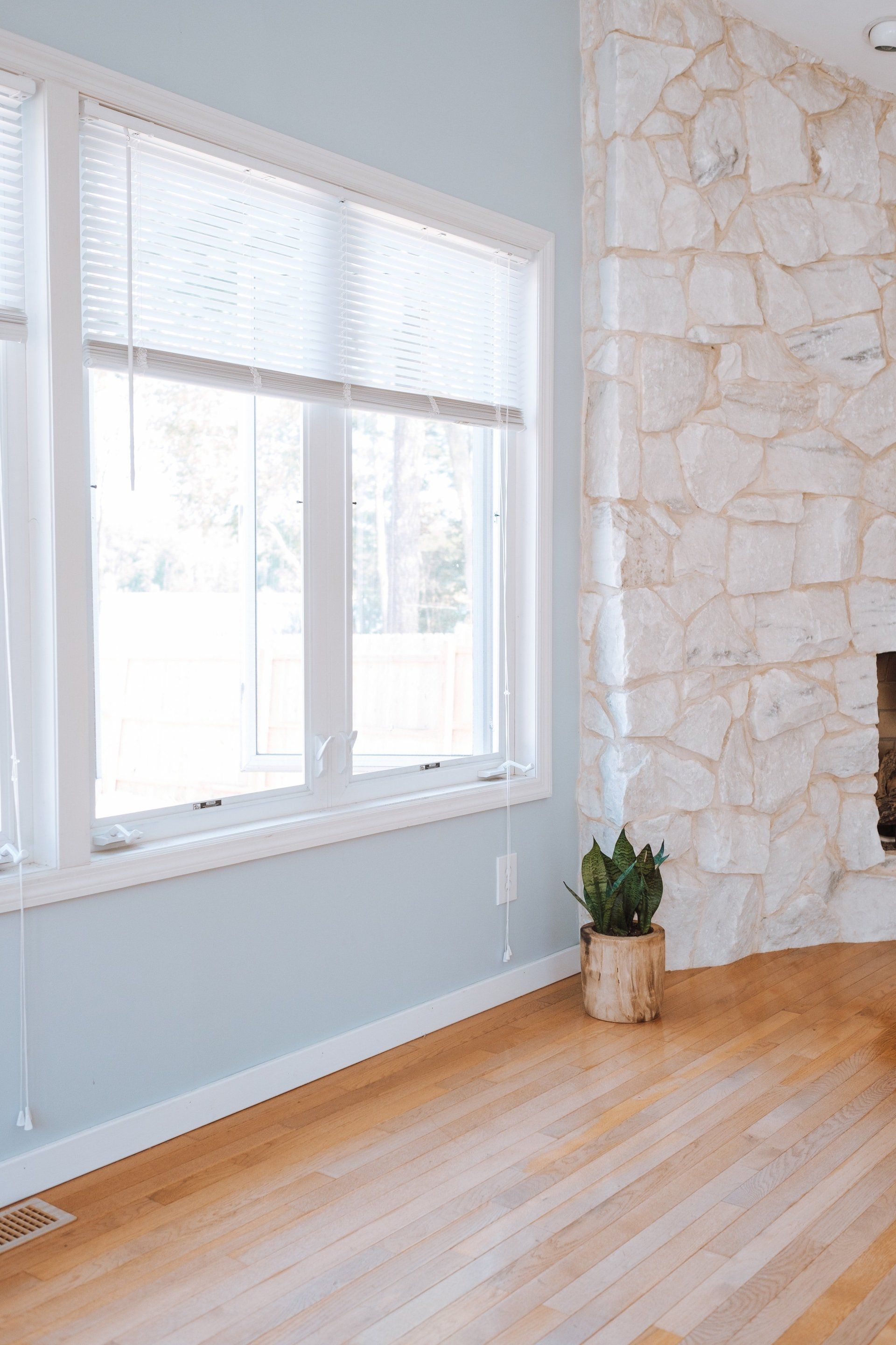 An empty living room with a fireplace and a potted plant.