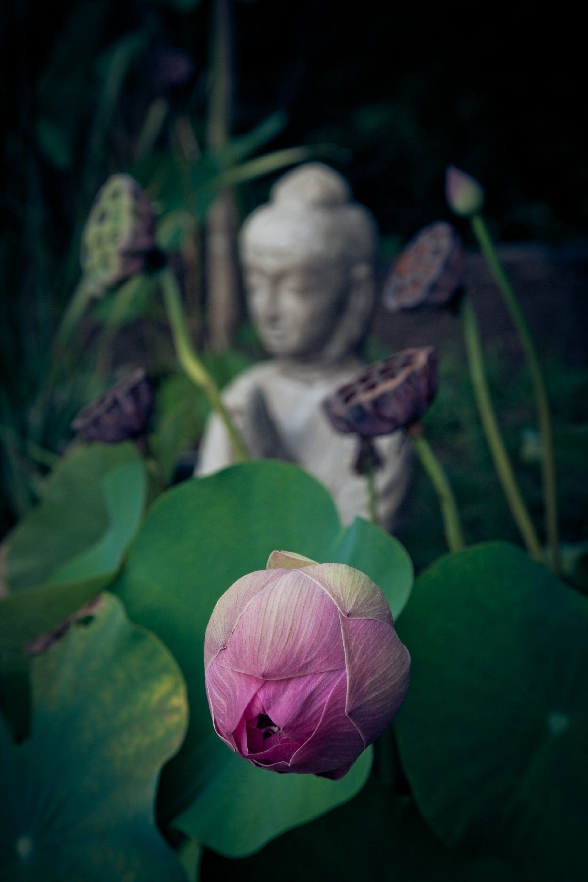 méditation
