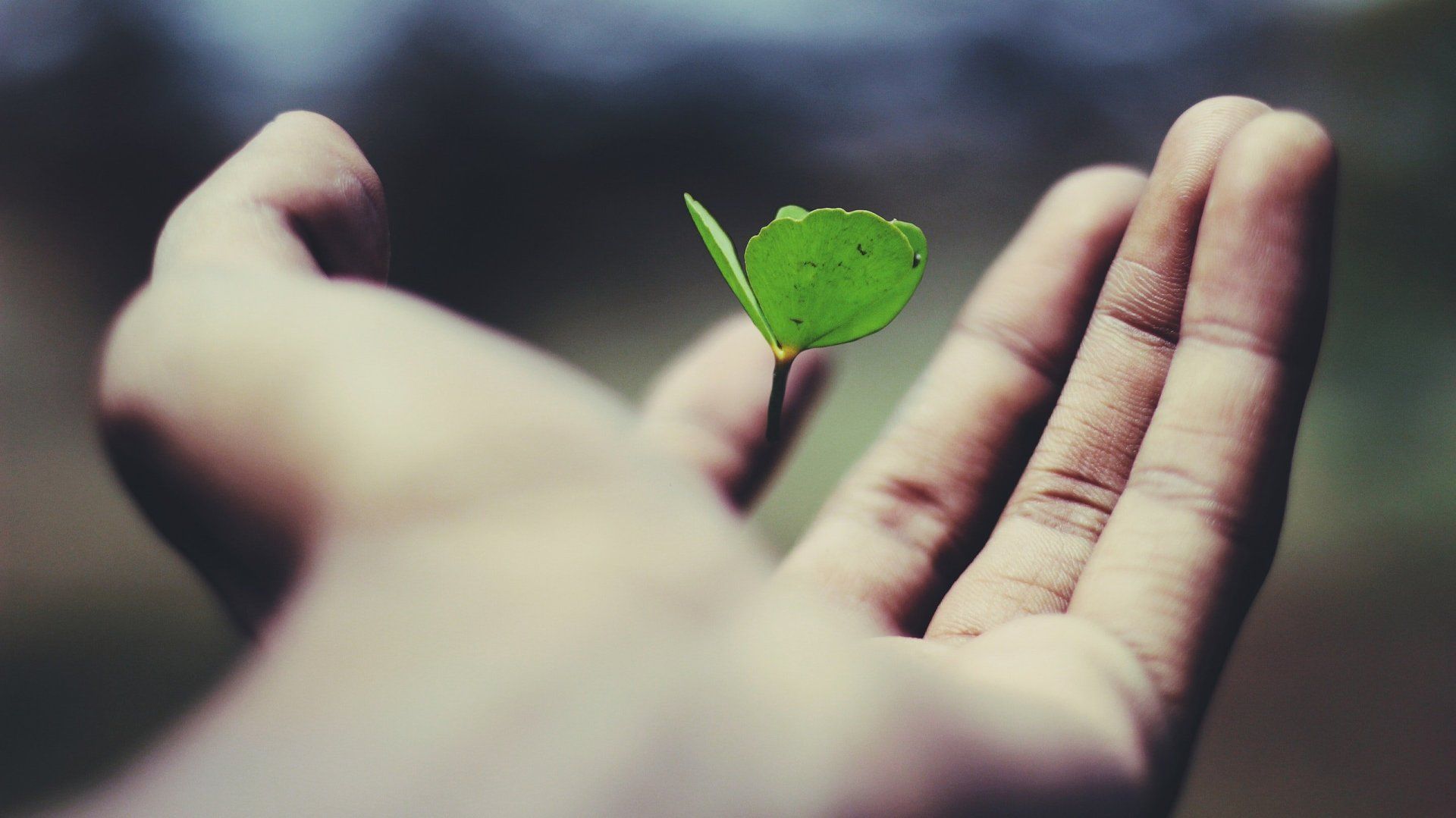 What Are You Holding Onto Too Tightly?
