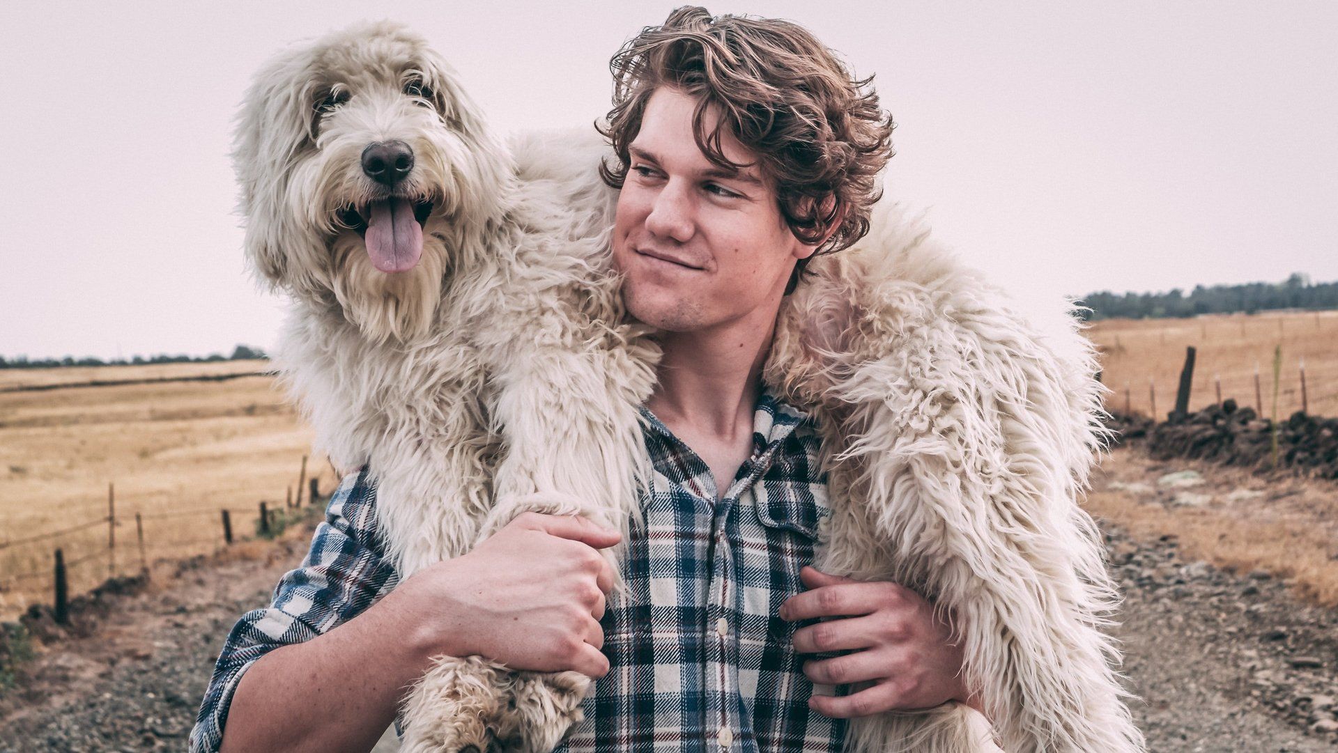A man is holding two dogs on his shoulders in a field.