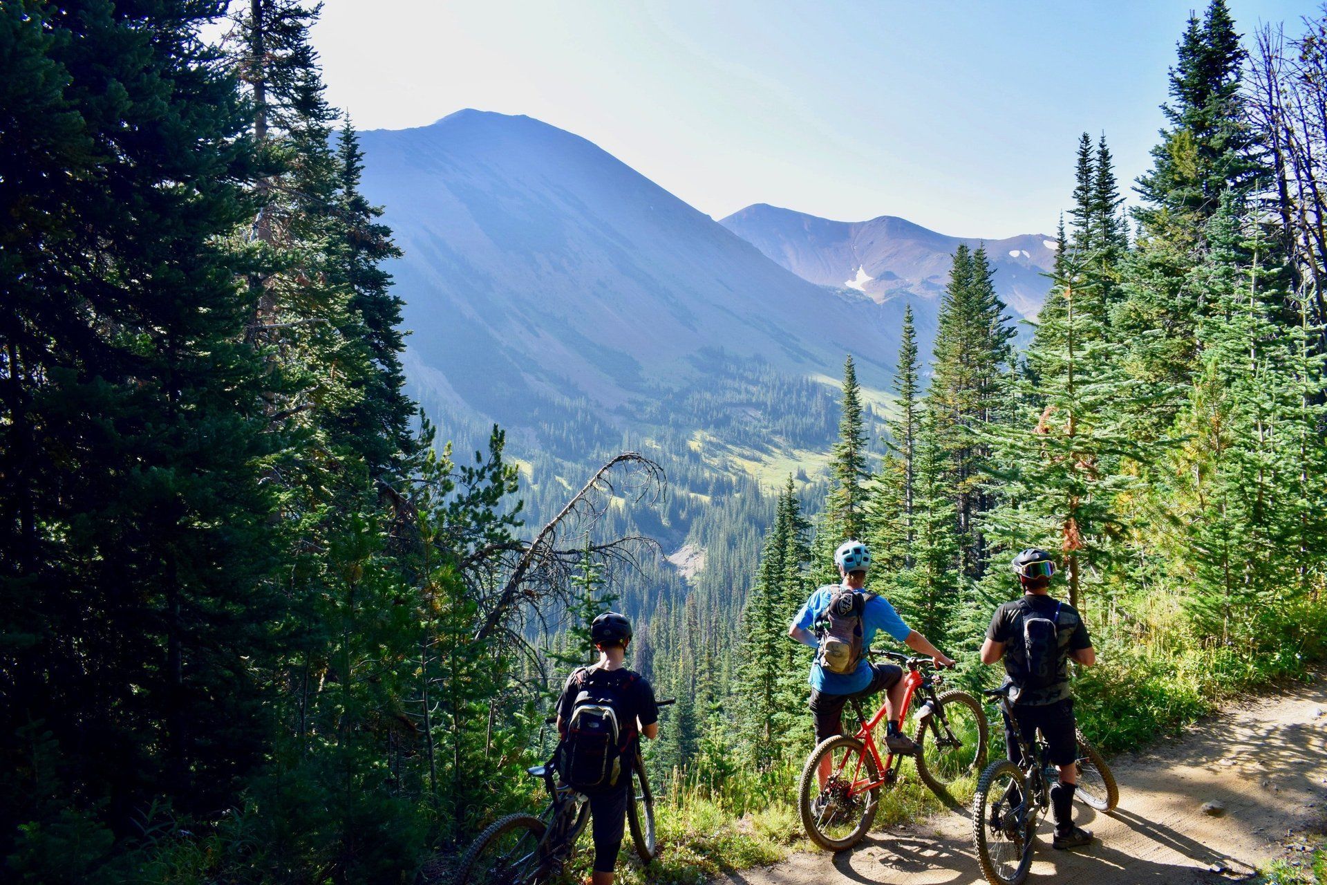 Mountainbiker auf einem Waldweg mit einem sonnigen Tal und Bergen im Hintergrund