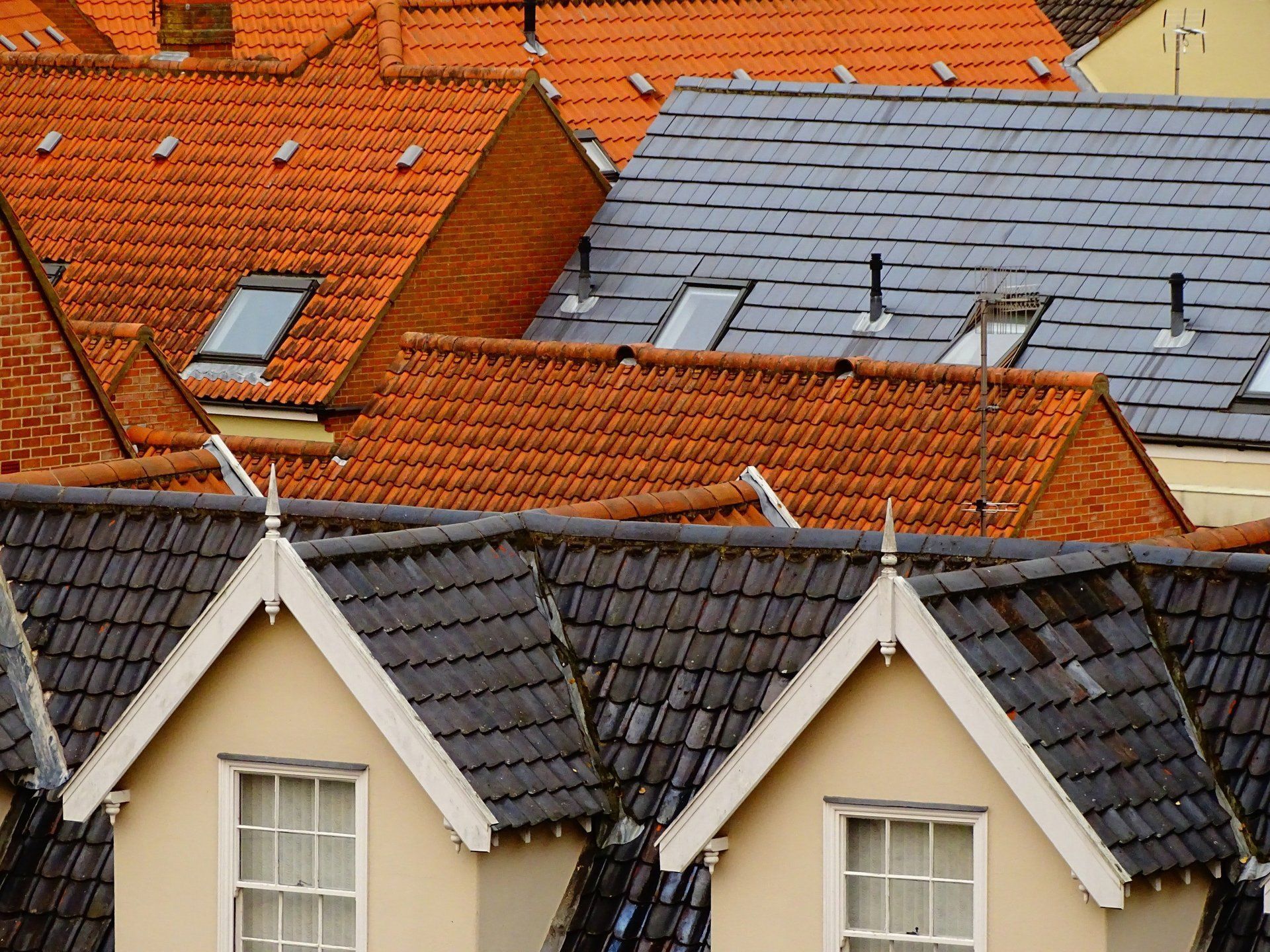 ROOF CLEANING
