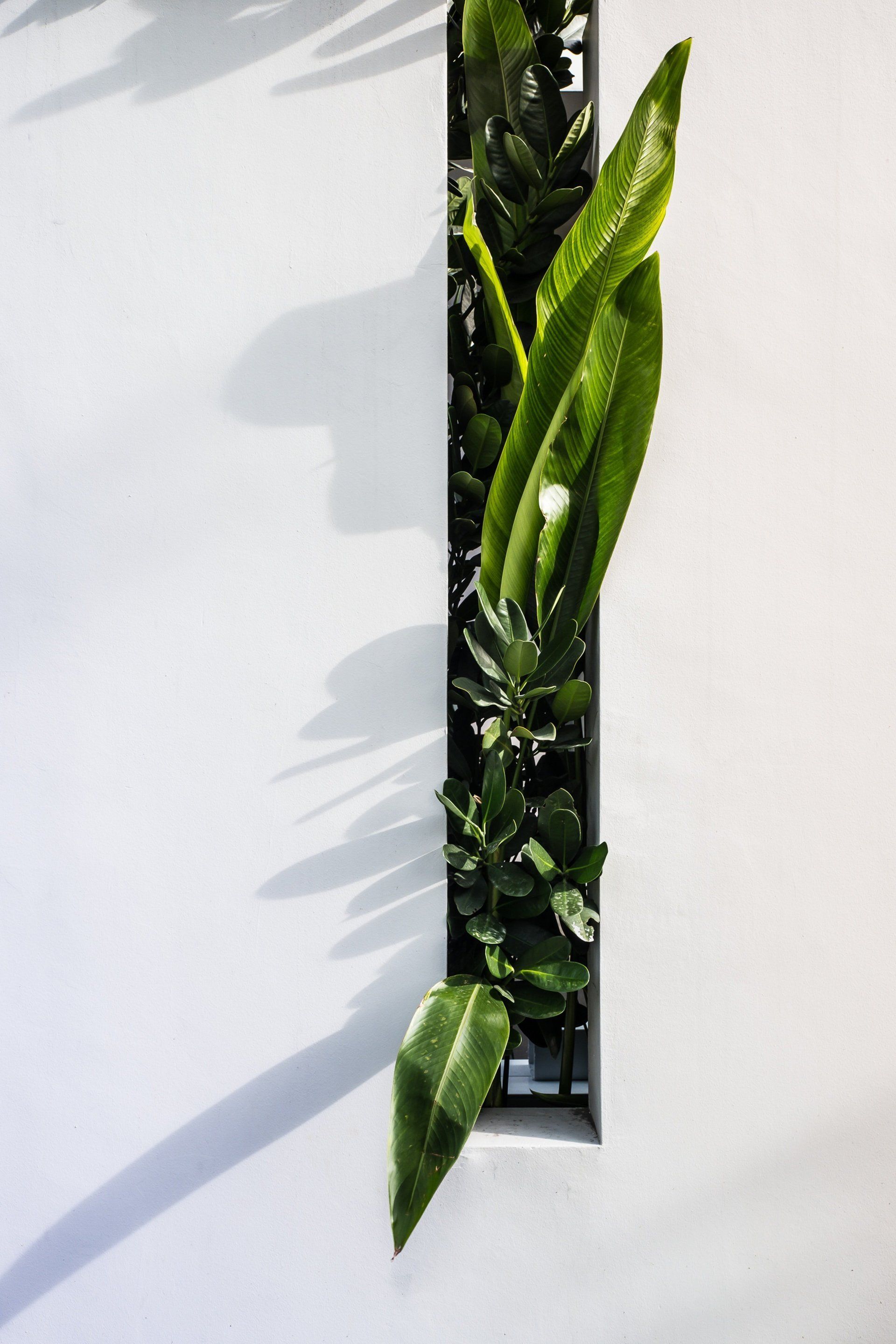 Landscape gardeners in Inverloch