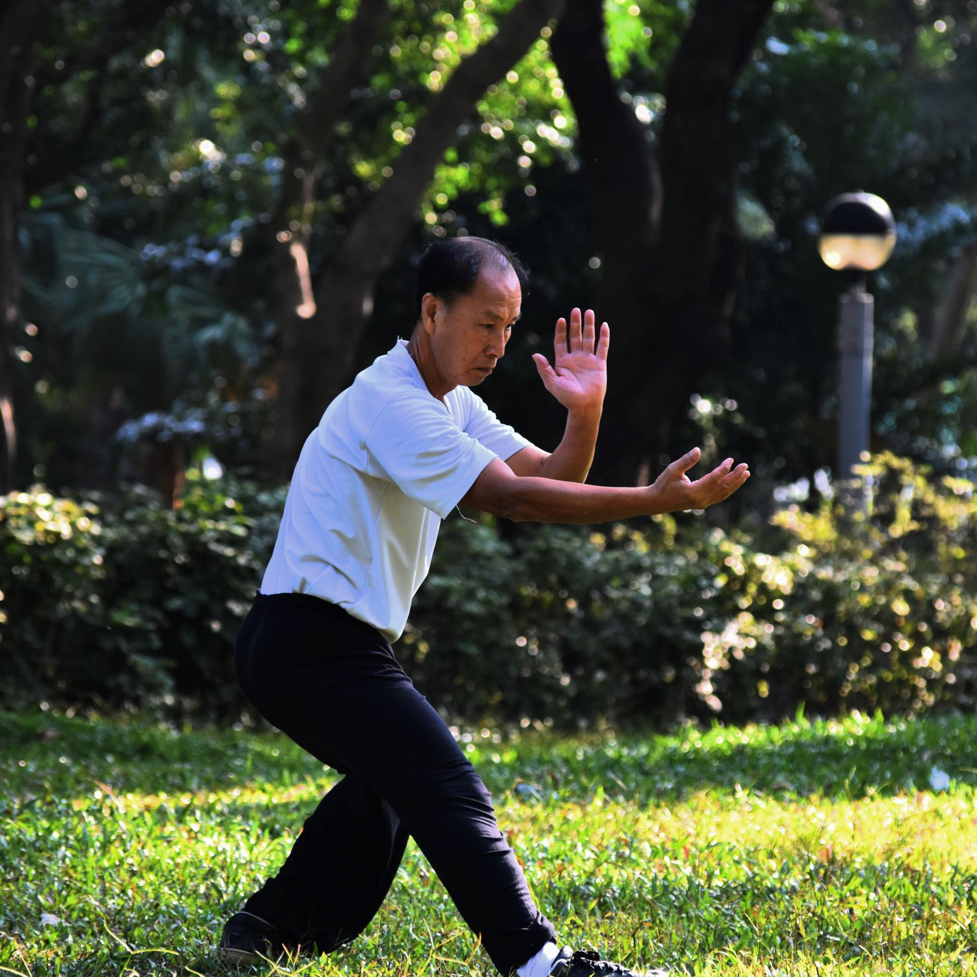 tai-chi-exercise-fitness-class
