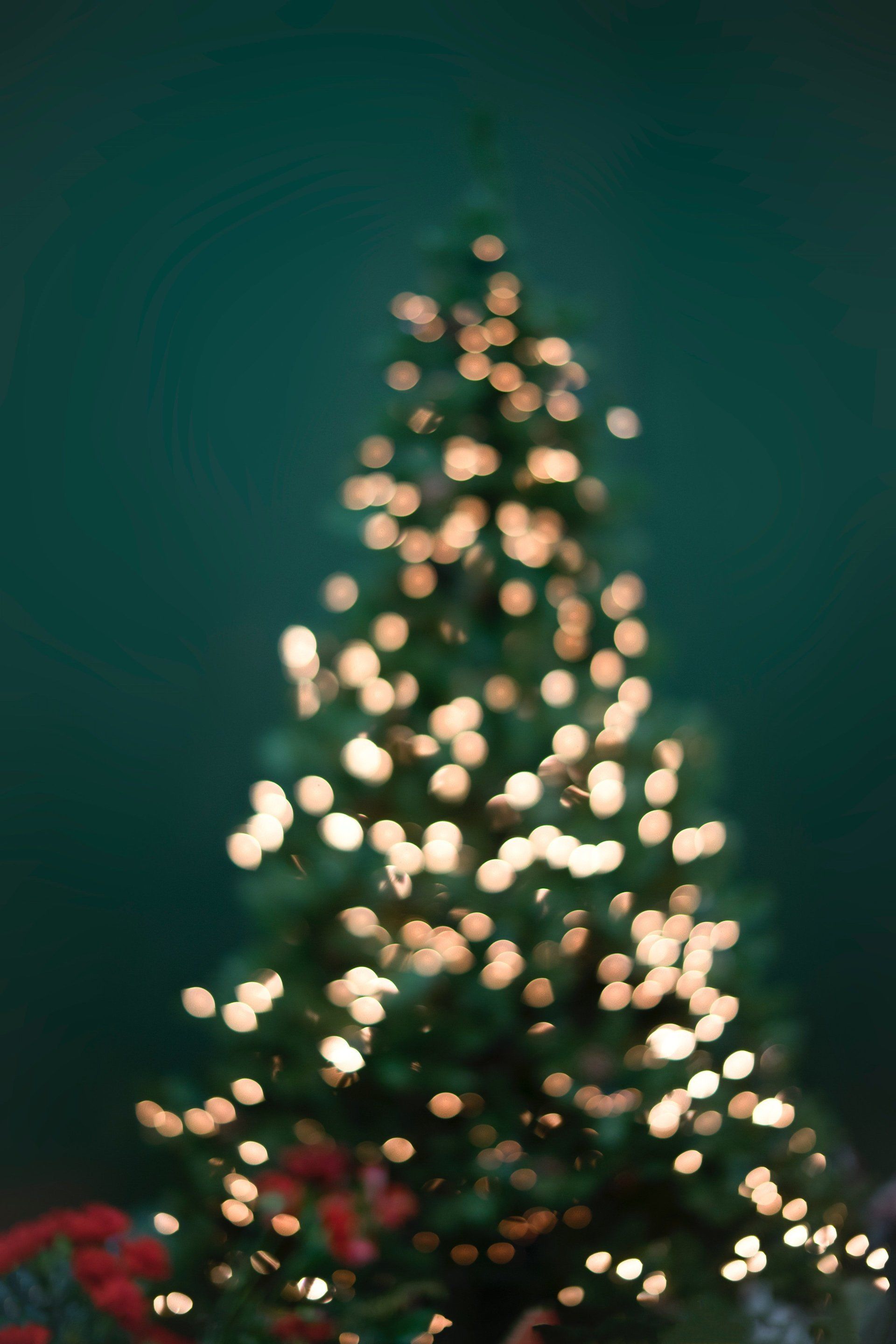 Christmas tree, green with blurred golden lights, on a dark green background.