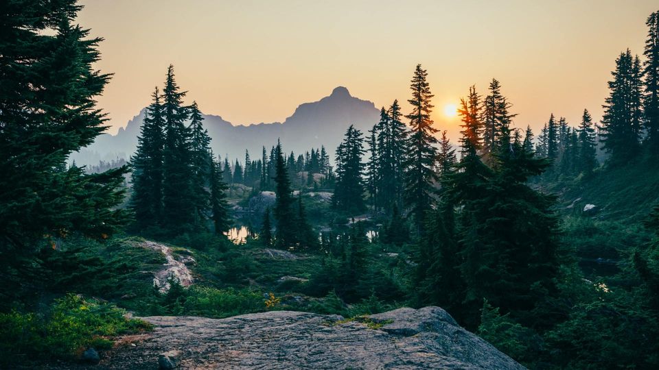 Natural Mountain Scene with Pine Trees