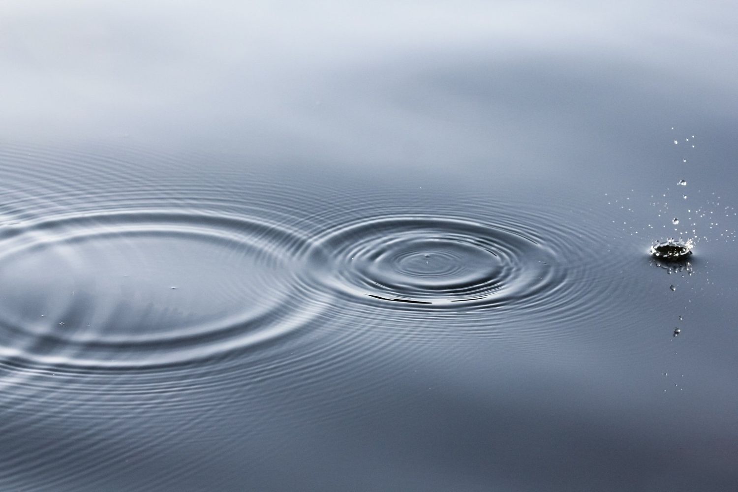 Water droplets creating concentric ripples on a calm gray surface