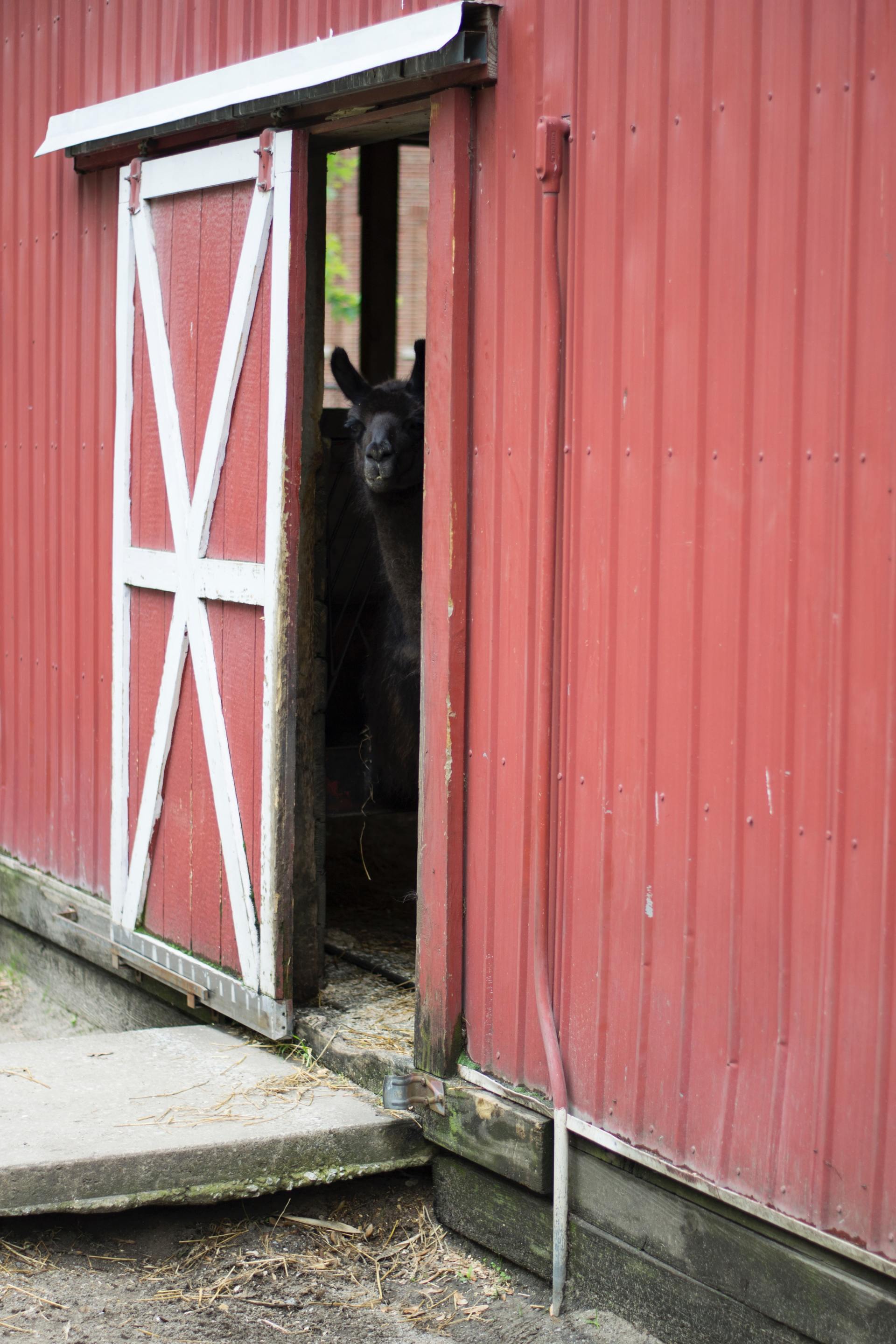 Outbuildings, barns, sheds, guest house, etc.