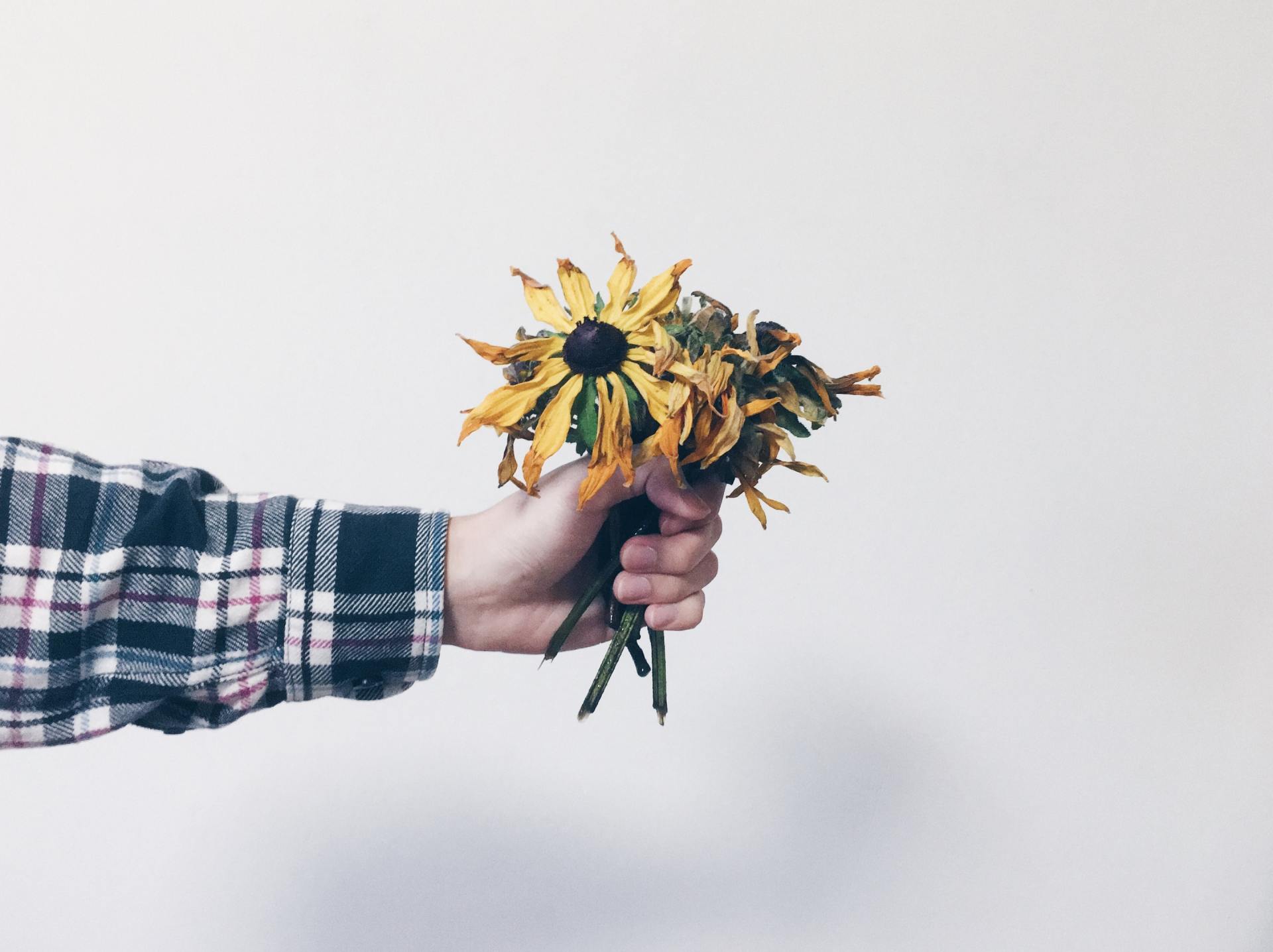 Flowers, Giving