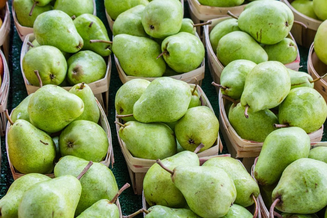 plateaux per alimenti