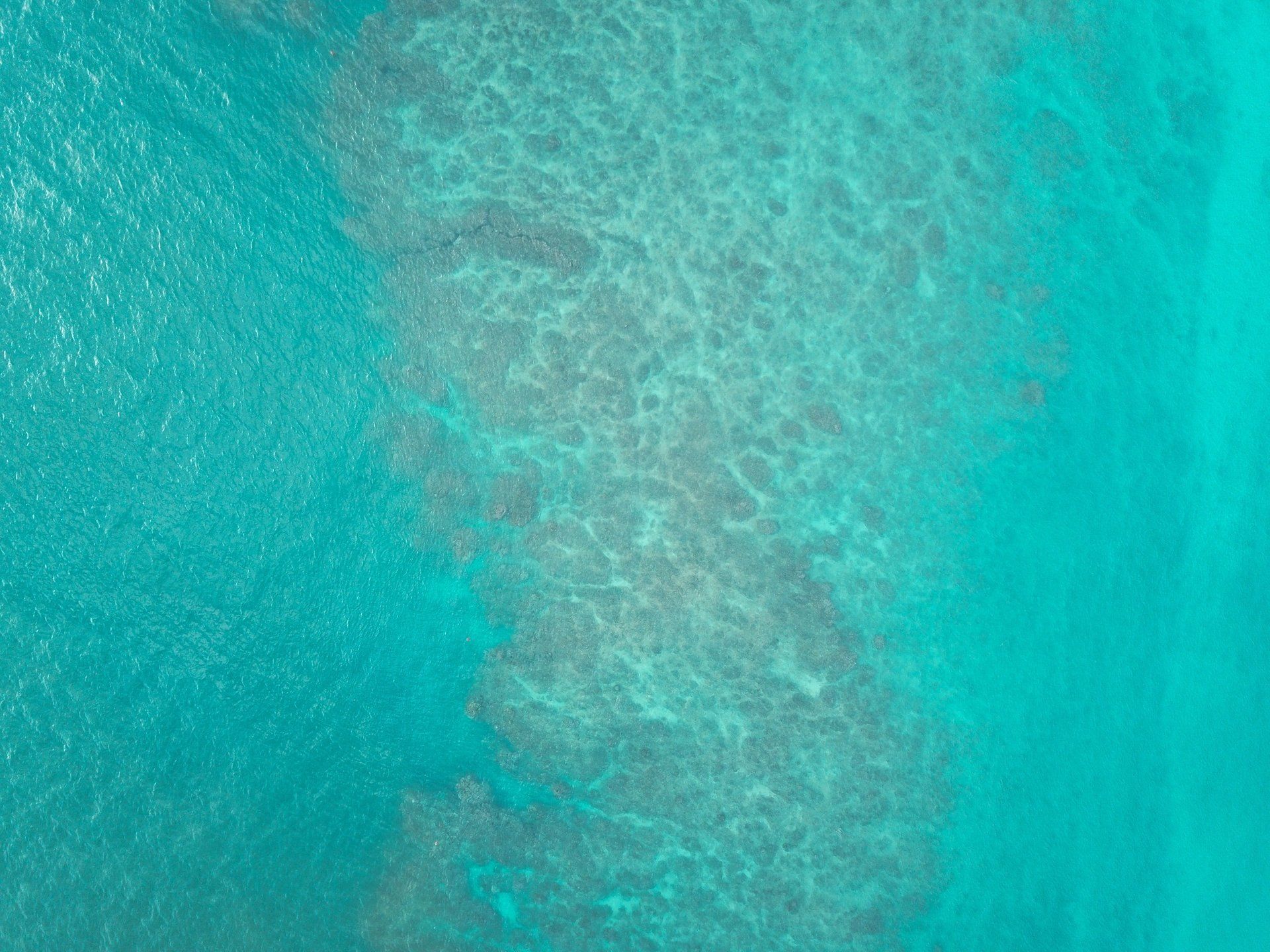 An aerial view of a coral reef in the middle of the ocean.