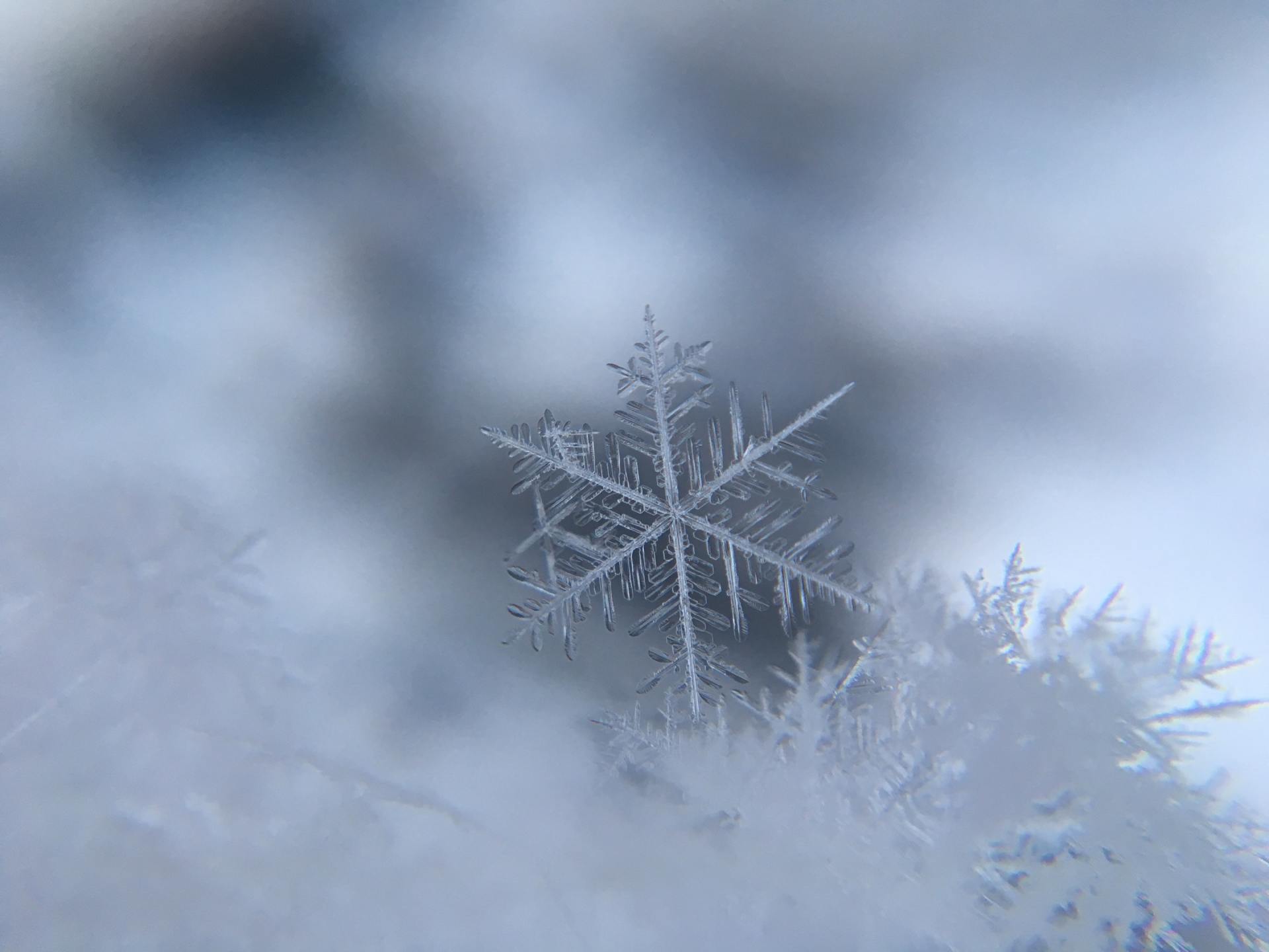 With Atkins’ Snow Removal, Your Mid-Missouri Business Will Be Clear to Navigate for Customers!