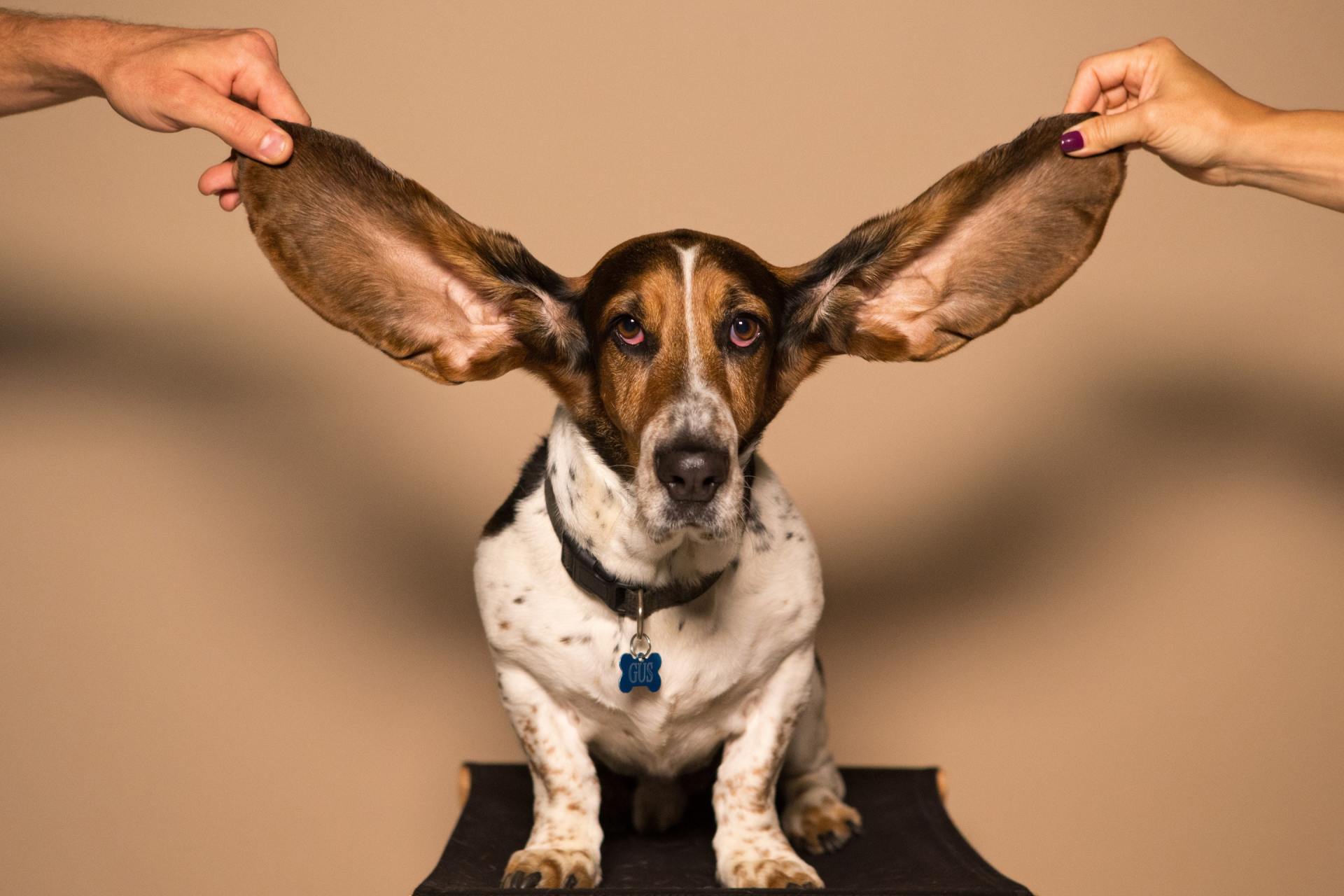 Ear cleaning services in warner robins