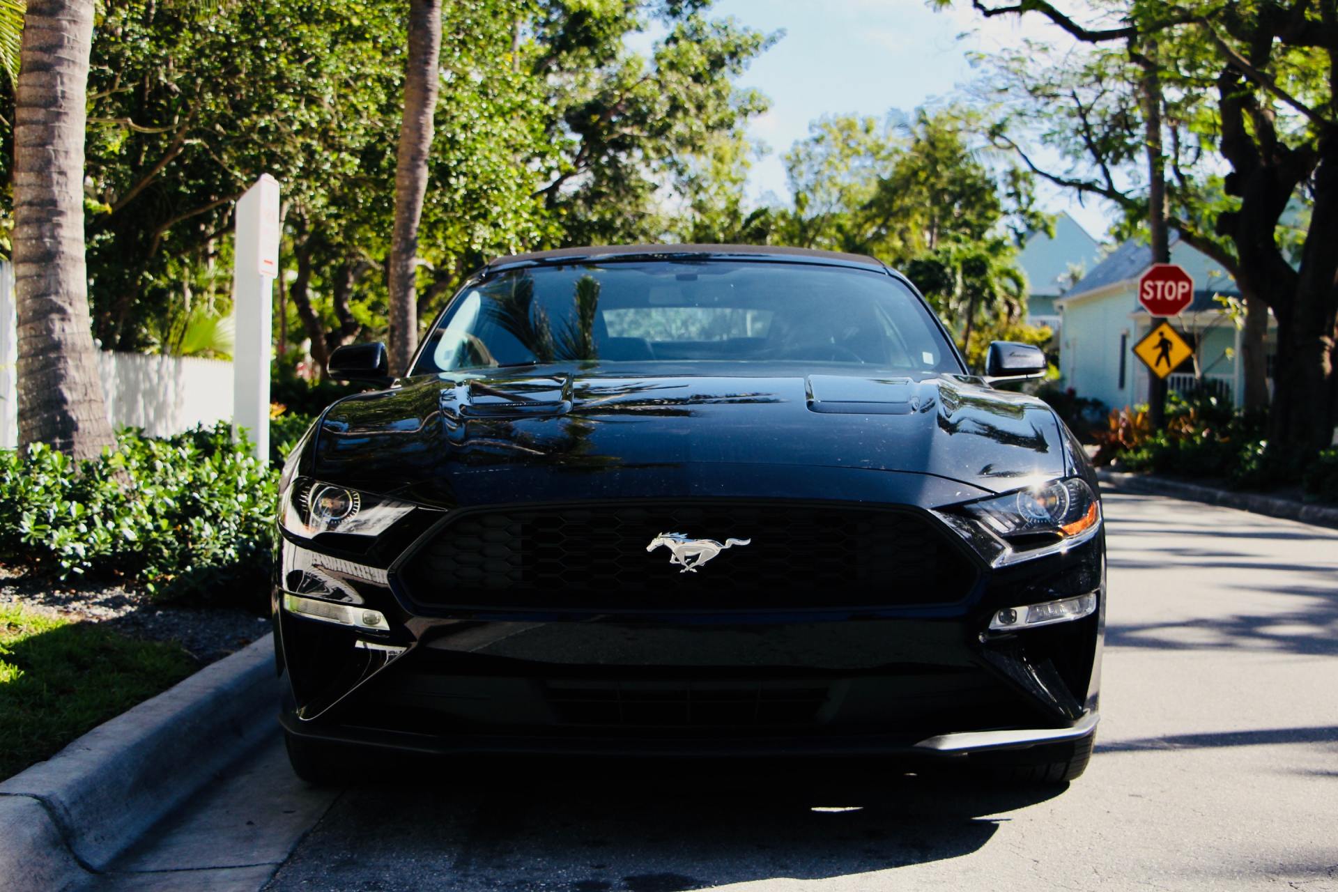 Ford Transmission Repair in dallas tx