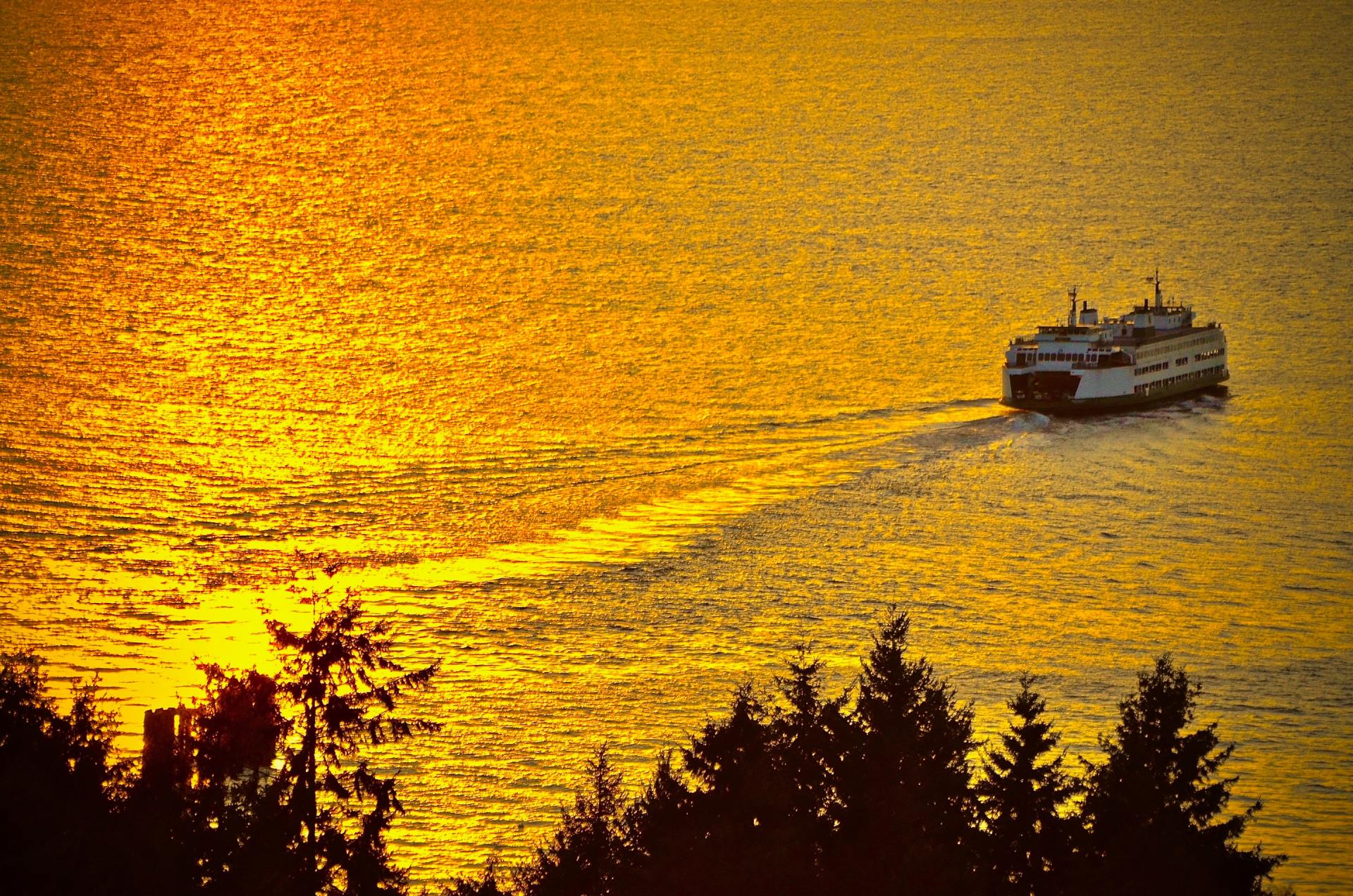 Een veerboot vaart over een gouden zee bij zonsondergang, met silhouetten van bomen op de voorgrond.