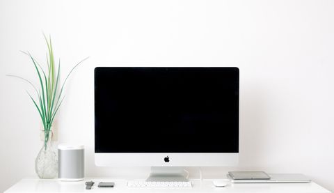 Office desk with laptop and plant