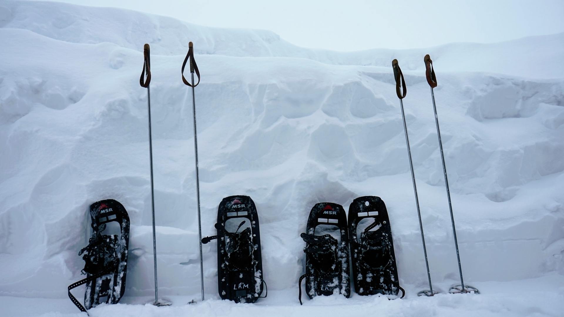 Winter Activities