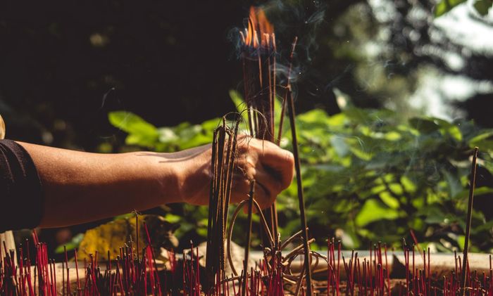 tree planting