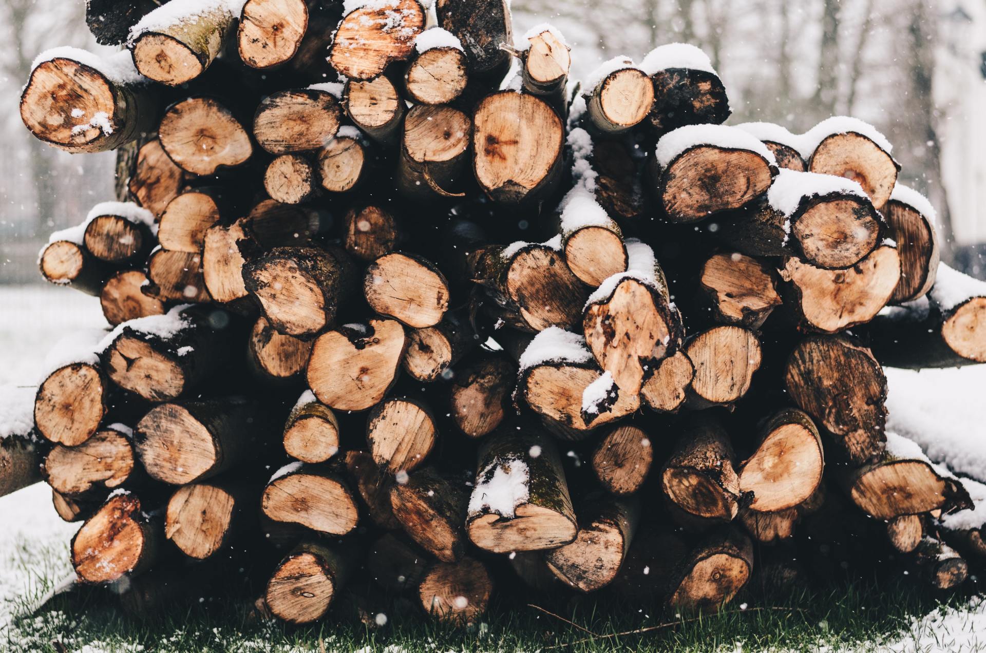 firewood