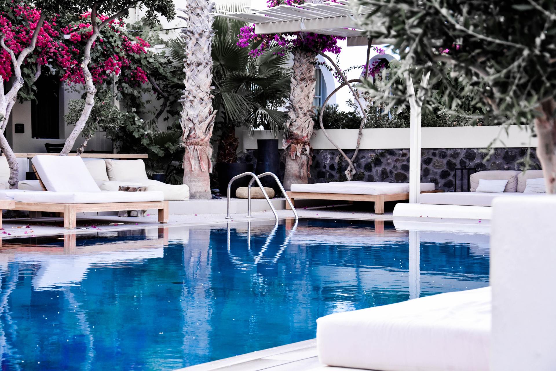 Swimming pool with white lounge chairs, palm trees, and bougainvillea blossoms.