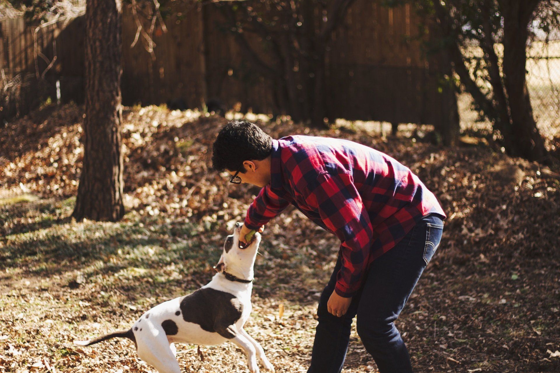 dog parks Birmingham AL
