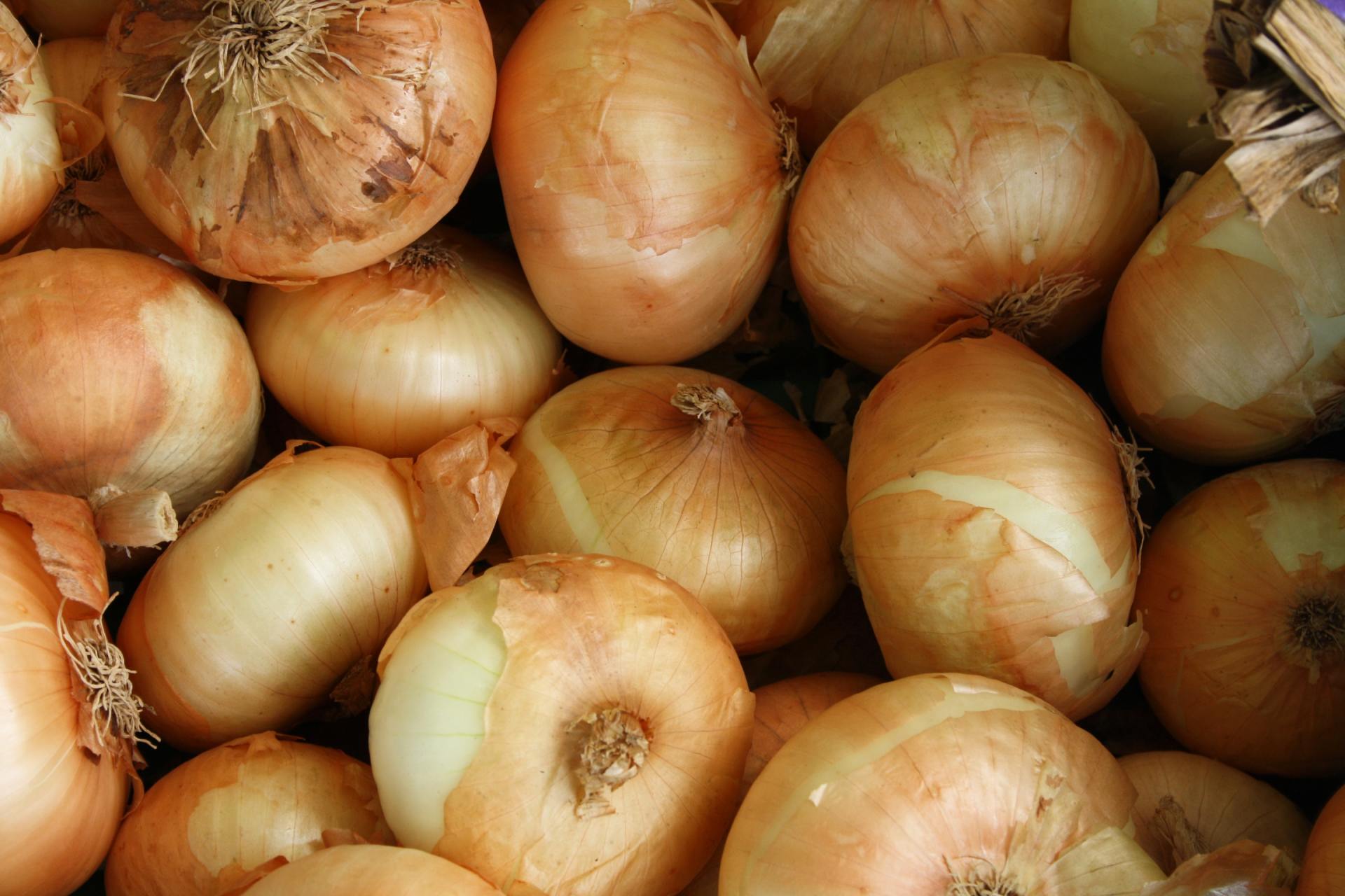 A bunch of onions are sitting on top of each other on a table.