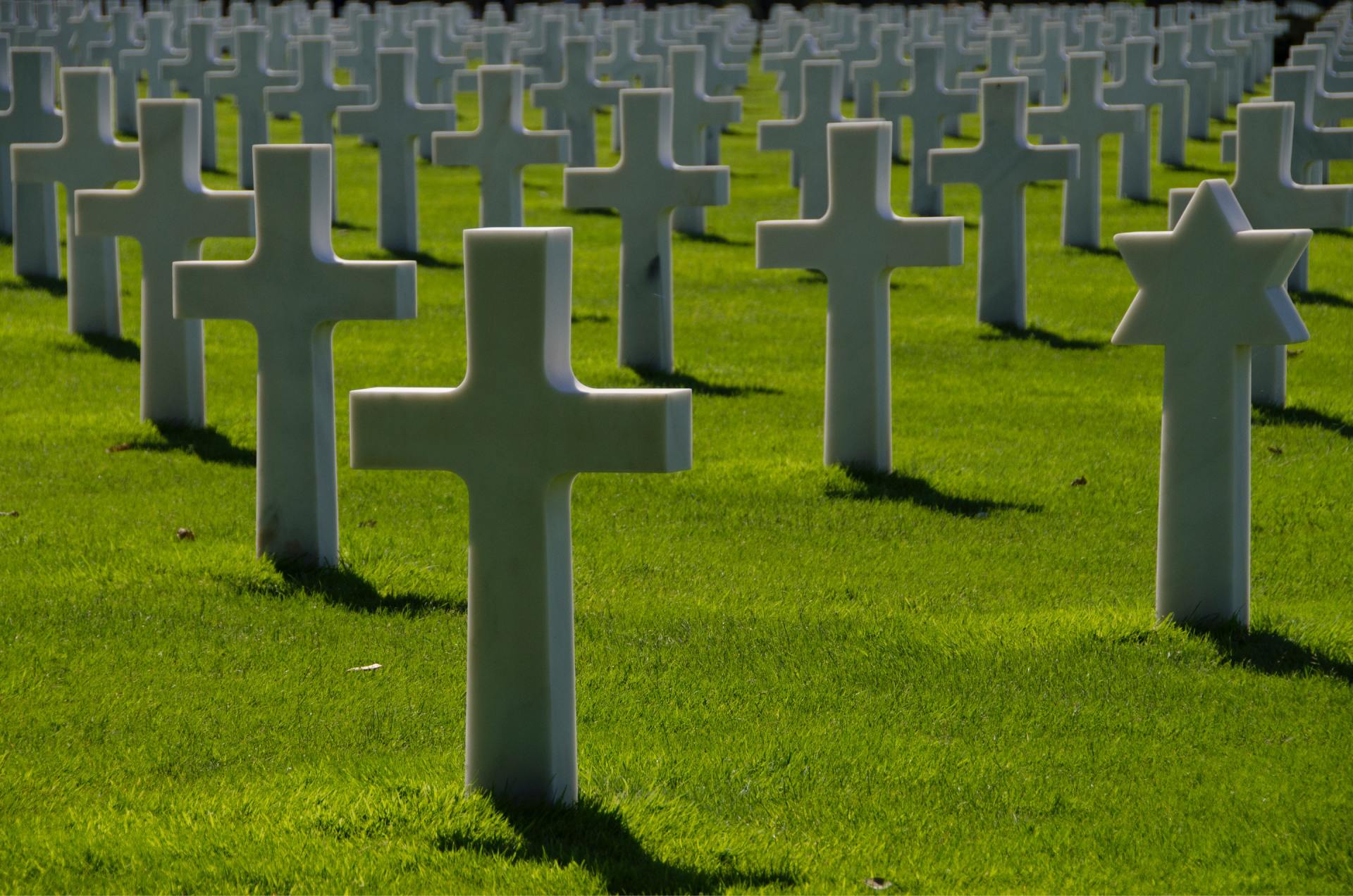 My Annuity Will Go to the Insurance Company When I Die
