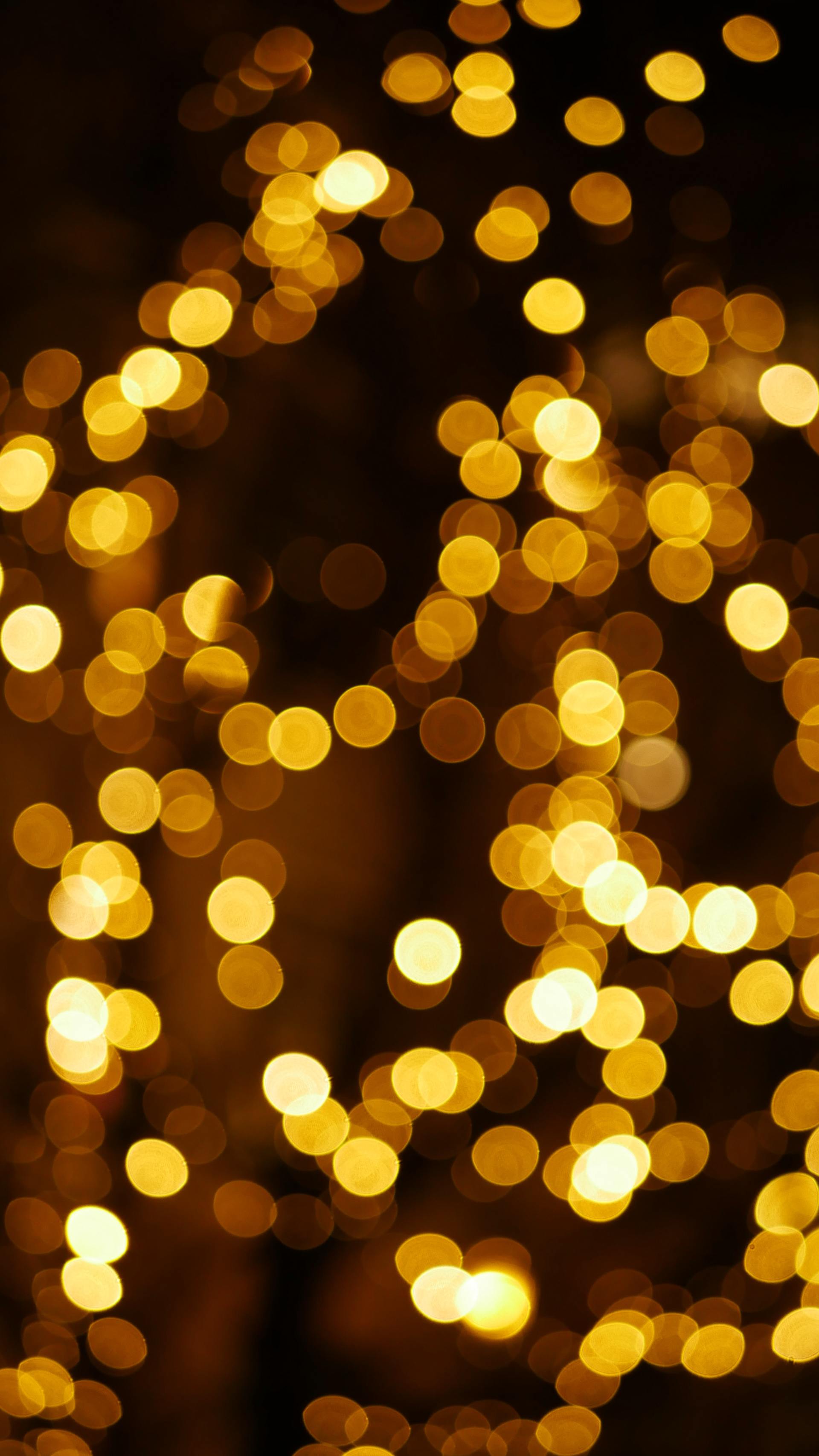 Put Your Mid-Missouri Business in the Holiday Spirit With Atkins’ Commercial Holiday Lighting!