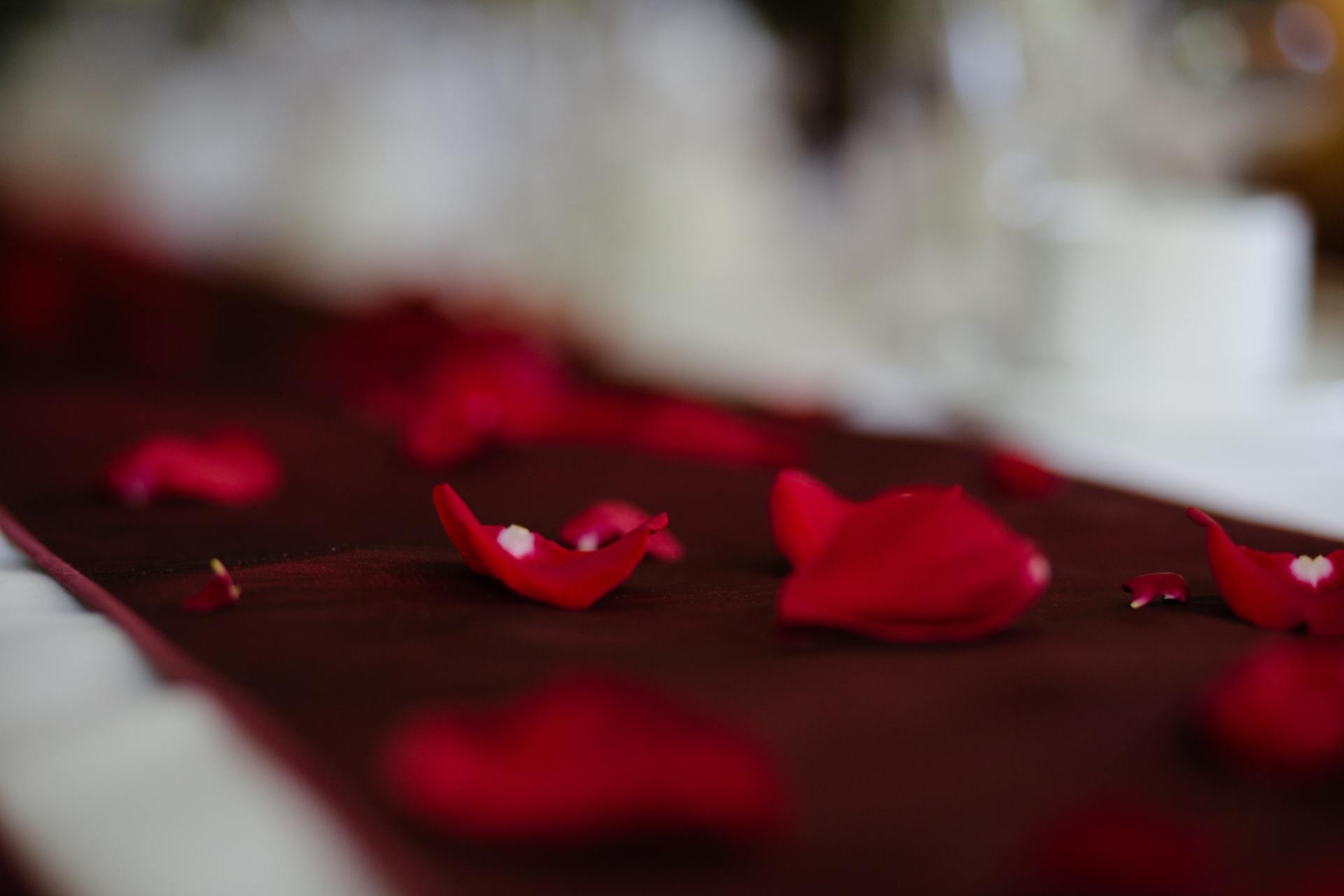 Funeral Services Southampton